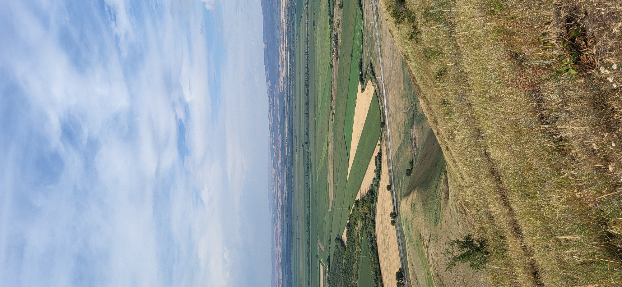This is a landscape photograph taken from a high vantage point, looking out over a vast agricultural valley under a partly cloudy sky. The foreground is dominated by a steep, dry, grassy slope with several tracks or trails visible. A small, leafy tree grows on the left side of the slope.
In the midground, a winding paved road runs horizontally across the scene, separating the grassy slope from a patchwork of cultivated fields. The fields exhibit a variety of colors and textures, with areas of green crops, golden stubble, and lighter brown earth. Some fields are rectangular, while others follow the contours of the land. A line of trees runs along the edge of some of the fields.
The background reveals a broad, flat valley stretching to the horizon, dotted with more fields and a distant line of hills or mountains. The overall impression is one of rural expanse and agricultural activity. The scene is consistent with the geography of the Akmola Region of Kazakhstan, which includes the village of Syrymbet, known for its rolling plains and agricultural lands. There are no people or animals visible in the image. The lighting suggests it is daytime, likely late morning or afternoon, given the shadows.