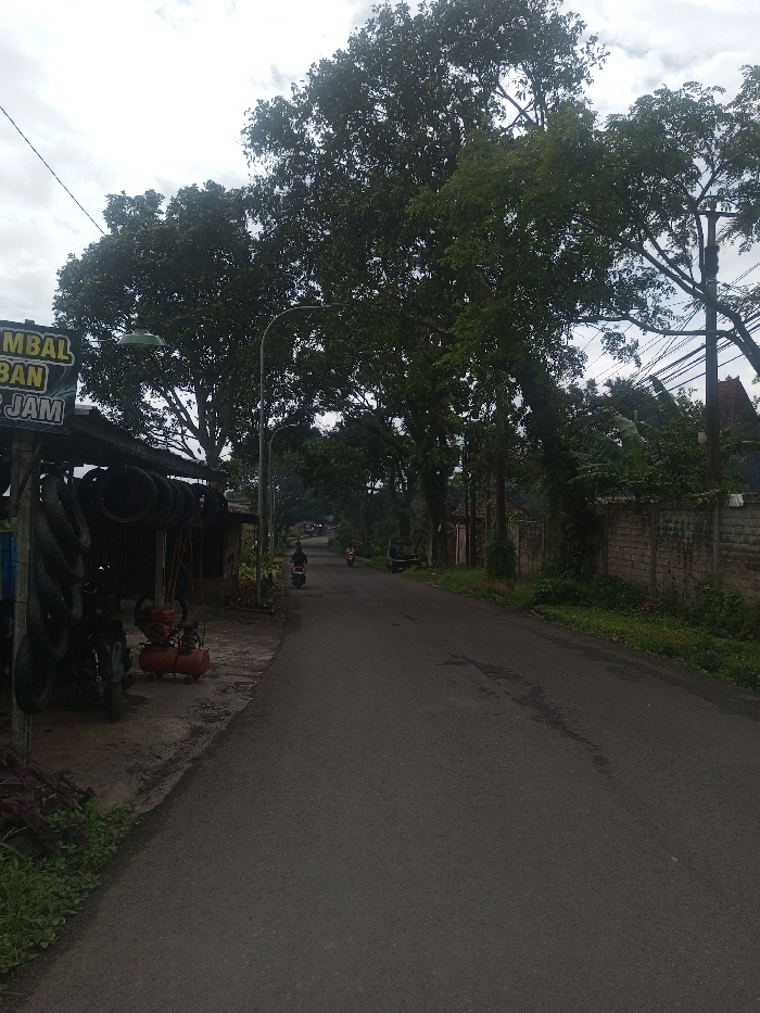 The image displays a roadside scene in Sarwahi Mal., India, under an overcast sky. In the foreground on the left, a rudimentary outdoor shop structure is visible. A yellow and black sign with partially legible text, "AMBAL BAN P JAM," hangs from its roof. Below the sign, a collection of approximately 15-20 black vehicle tires of various sizes are hung or stacked for display and sale. An orange air compressor with a red motor is positioned on the ground in front of the shop. A dark-colored motorcycle is parked directly in front of the compressor. Green ground vegetation grows along the edge of the paved surface. A light grey streetlamp with a green conical shade extends over the shop area.
The central feature is a dark grey asphalt road receding into the distance. Two individuals on motorcycles are observed traveling away from the viewer down this road. The lead motorcyclist, wearing dark attire and a helmet, is closer to the viewer. A second motorcyclist is further down the road, and a light-colored utility vehicle or small truck is parked on the right side of the road beyond the second motorcycle.
Both sides of the road are lined with dense, tall green trees, casting shadows and creating a canopy effect. On the right side of the road, a low, light-colored brick or concrete wall runs parallel to the pavement, partially obscured by green foliage. A utility pole with multiple overhead wires is visible on the right, integrated within the tree line. Glimpses of distant structures with reddish roofs are visible through the trees in the background. The sky is uniformly light grey, indicating heavy cloud cover.