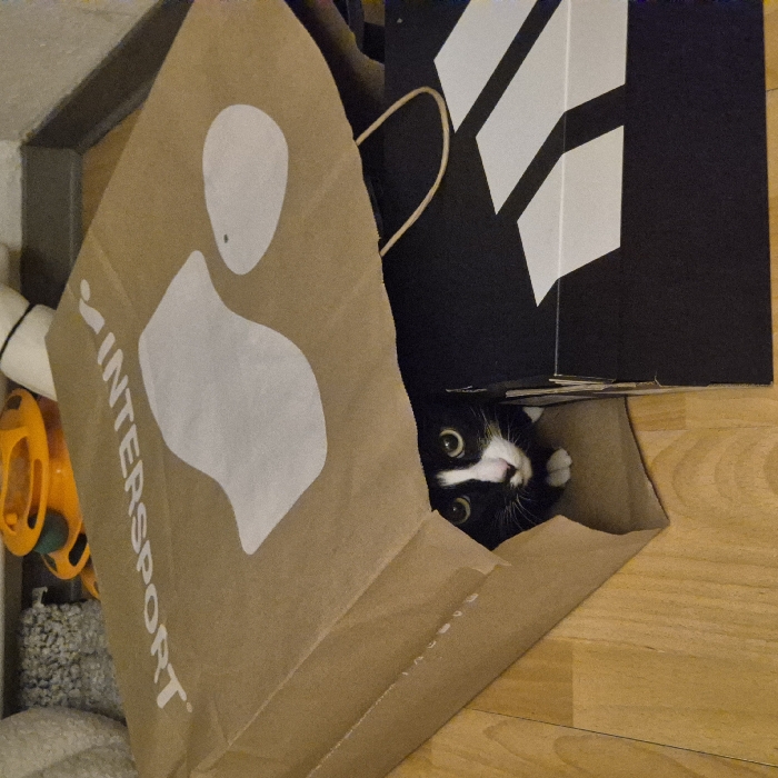 A black and white cat peeks out from inside a brown Intersport paper bag on a wooden floor. A black box with white geometric shapes sits behind the bag, partially obscuring the cat. An orange and white toy, along with a grey fuzzy object, rest beside the bag, partially visible. The cat's eyes are wide, creating a playful and curious expression.