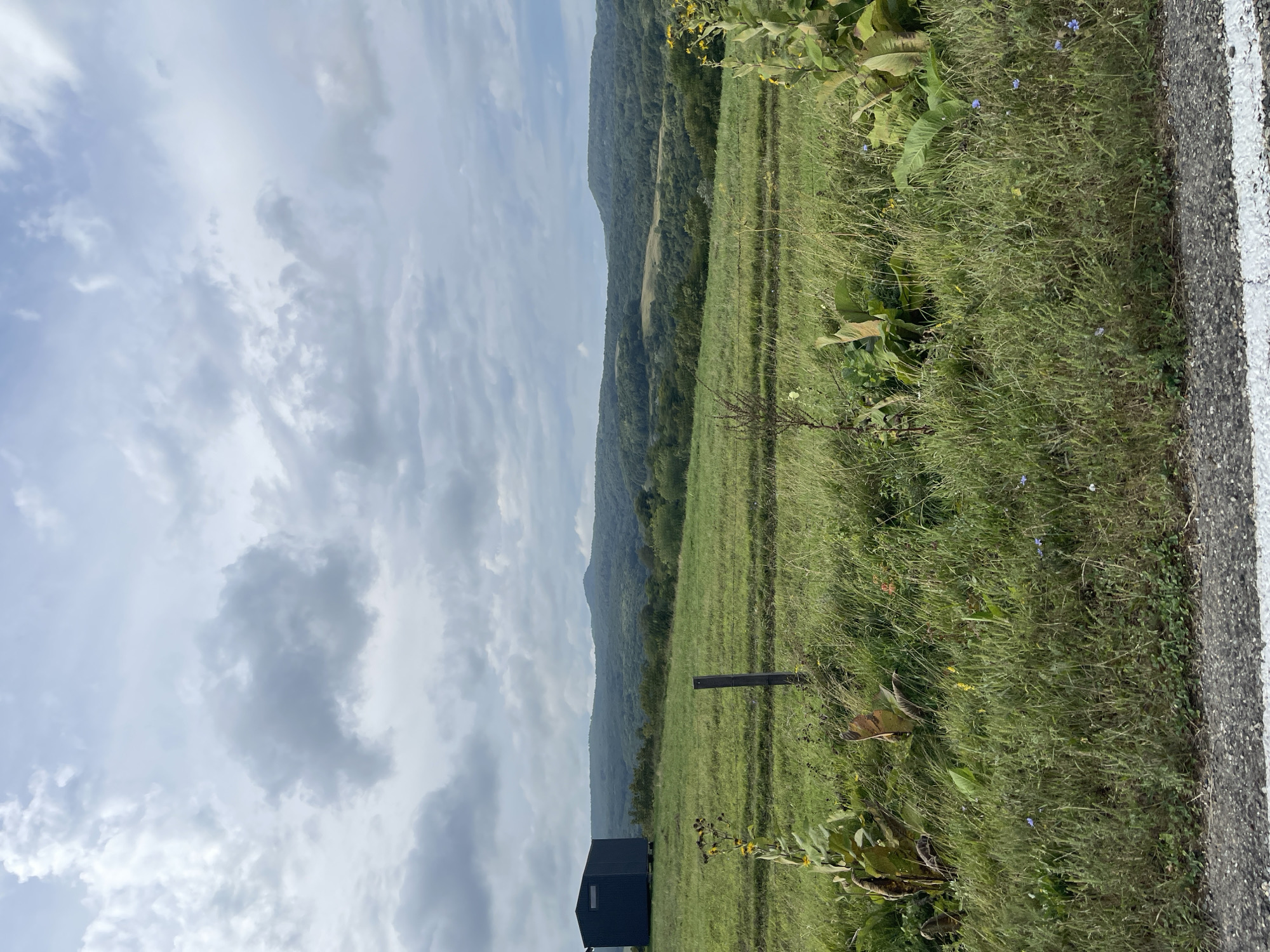 A dark blue, rectangular shed sits on a grassy hill under a cloudy sky. The shed has a single window on its left side. A wooden fence post is in the foreground, and a barbed wire fence runs horizontally across the scene. Beyond the shed, rolling, tree-covered hills stretch into the distance under a diffused sky. The foreground is filled with tall green grass and some yellow wildflowers. The image is a landscape photograph taken outdoors. There are no people or animals visible in the image.