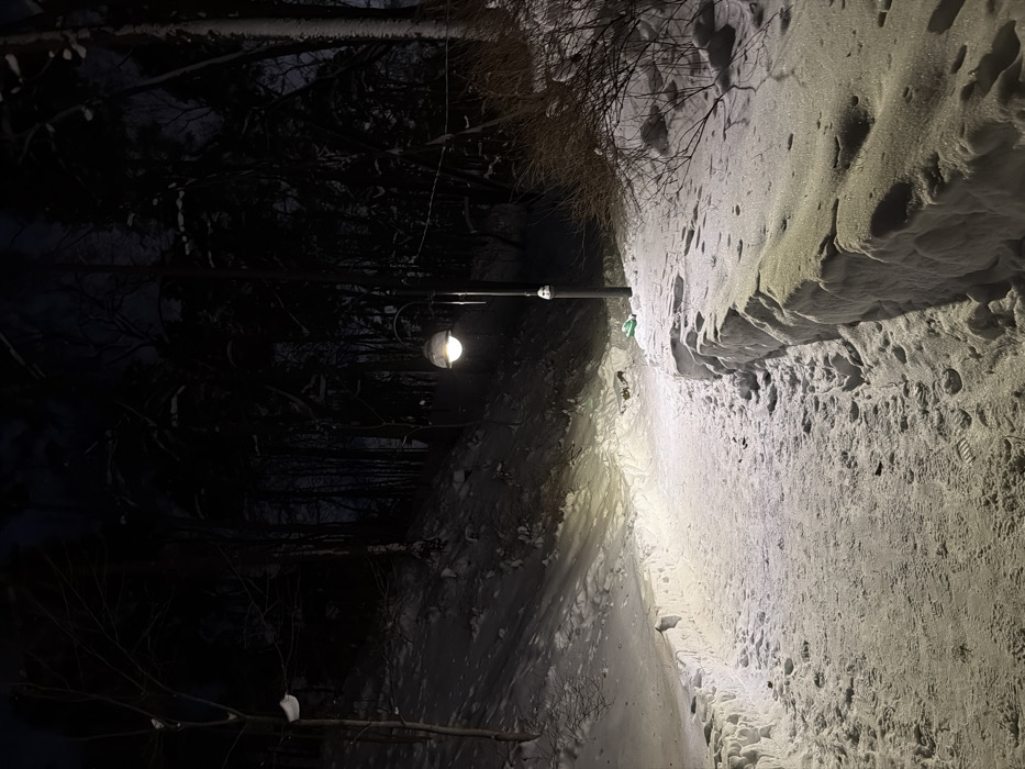 A snowy path winds under a lamppost illuminating its surface. The right side of the path is built up with snow, showcasing foot impressions. A dark, wooded area lies to the left, contrasting with the illuminated path. Branches peek out from the top and bottom, adding to the wintry scene.