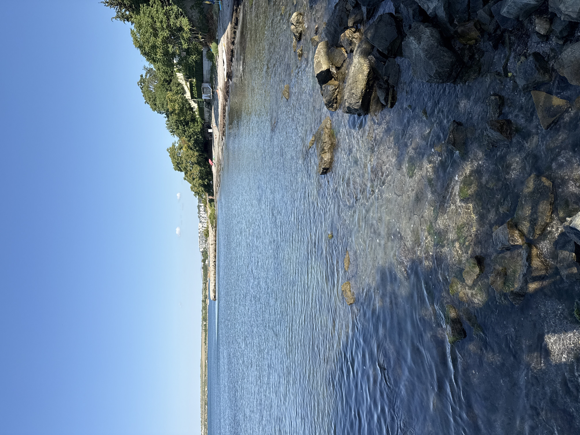The image depicts a coastal scene in Pomorie, Bulgaria. The foreground is dominated by the clear, shallow water of the sea, revealing numerous rocks and pebbles beneath the surface. Some larger rocks emerge from the water, forming a rocky edge along the coastline.
Further back, a sandy beach is visible, lined with lush green trees and vegetation that climb a gentle slope. Buildings, appearing to be part of a resort or residential area, are situated along the higher ground, nestled amongst the trees. A few scattered beach umbrellas and chairs suggest recreational activity, and a couple of small figures can be seen on the beach.
The water is calm, with gentle ripples reflecting the clear blue sky above. The overall impression is of a peaceful, sunny day at the seaside.