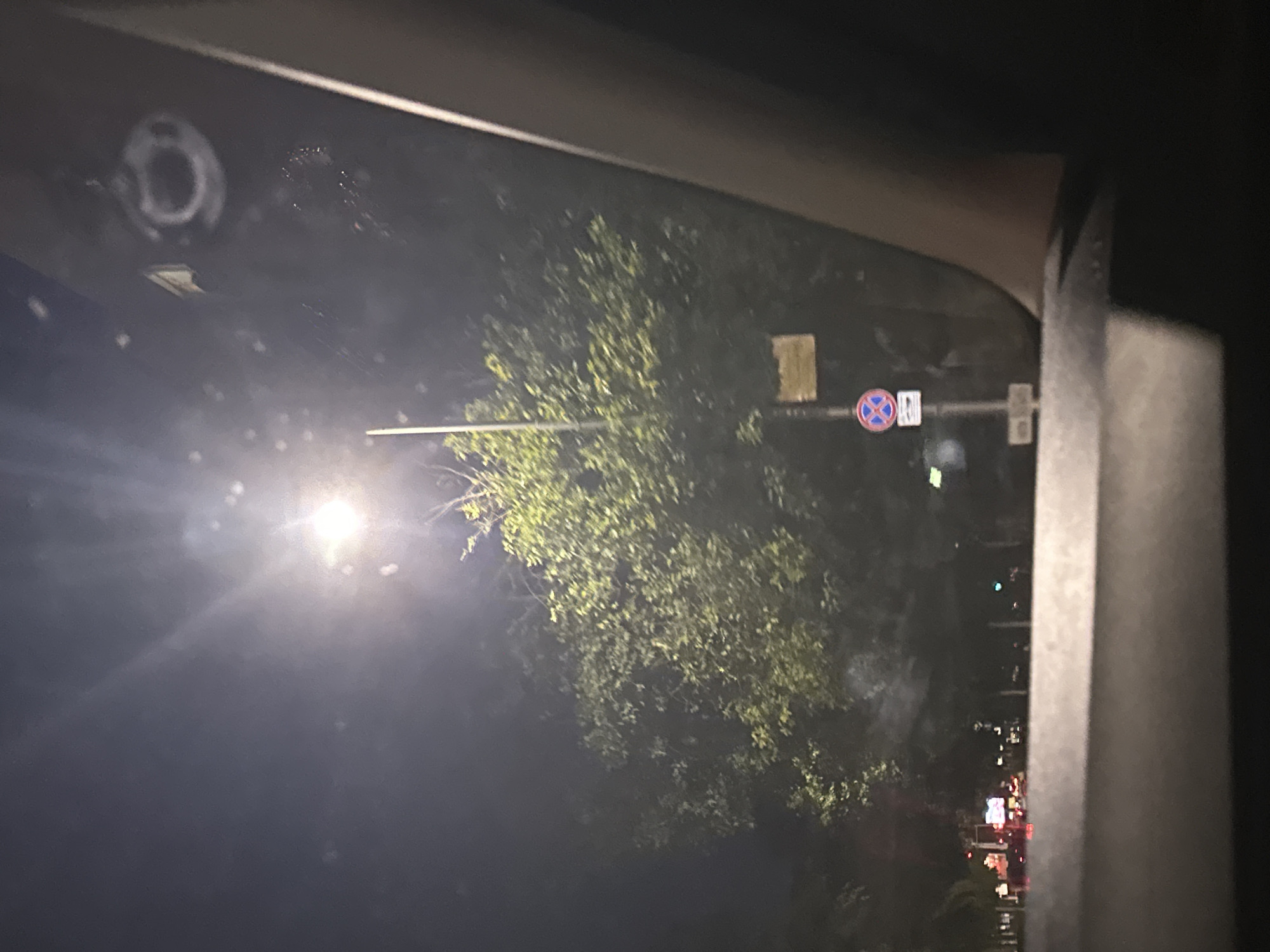 The image depicts a night-time view from inside a vehicle in Plovdiv, Bulgaria. A bright streetlight illuminates a tree with green foliage. In the foreground, the dashboard of the car is visible. In the background, streetlights and what appear to be vehicle lights suggest a street with traffic. A traffic sign, possibly indicating no parking, is visible on a pole next to the tree. A blurry object, possibly a security camera, is mounted on an overhead structure. The overall scene is dark, with the primary light source being the streetlight.