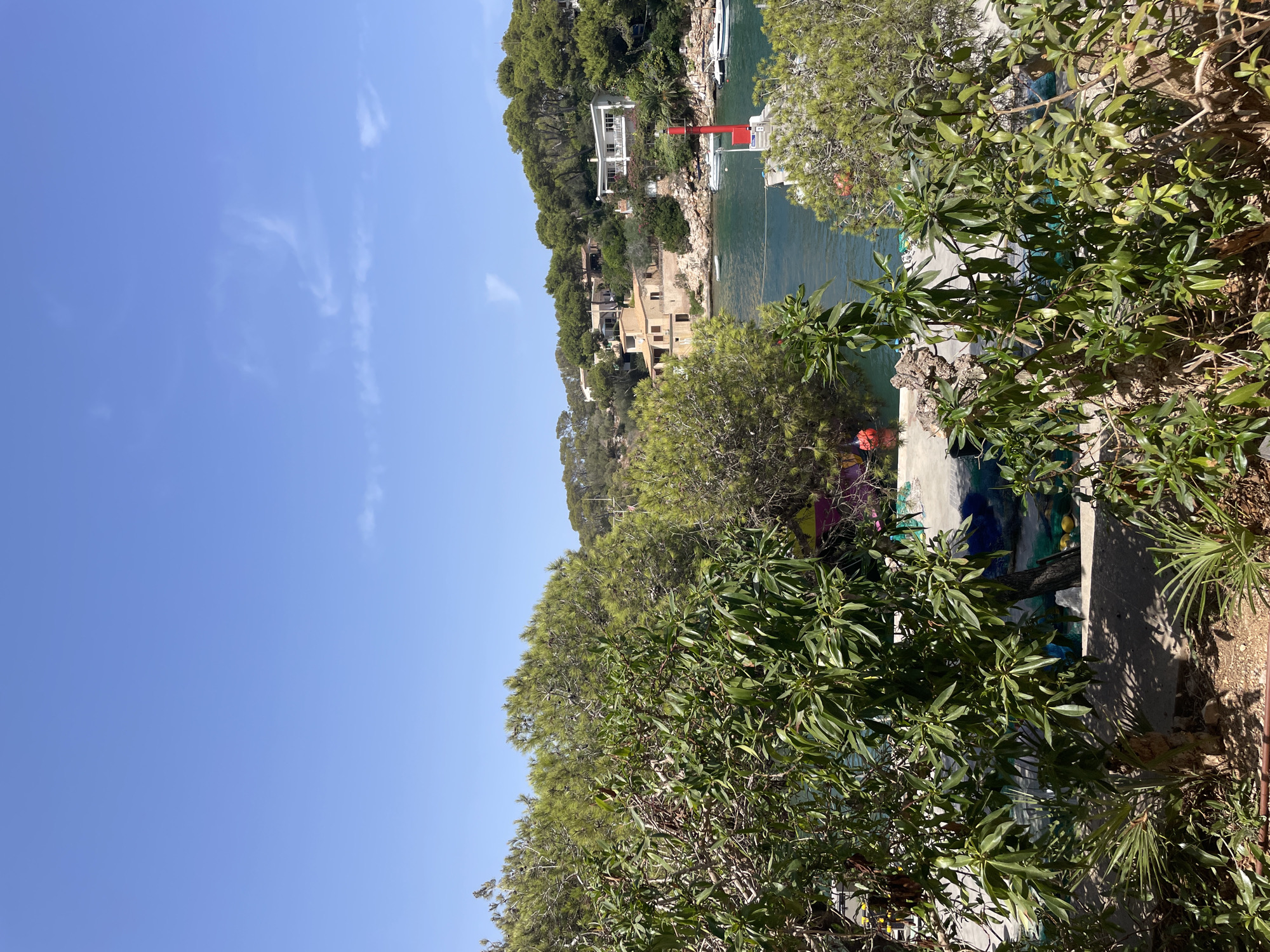 The image depicts a view of the harbor in Cala Figuera, Spain, on a clear, sunny day. Lush green trees and foliage frame the foreground, with dense pine trees and smaller leafy plants. Beyond the vegetation, the turquoise waters of the harbor are visible, dotted with several white boats. On the opposite side of the harbor, houses with terracotta roofs are nestled into the hillside, surrounded by more green trees. A bright red lighthouse stands on a small jetty in the middle ground. The sky is a vibrant blue with a few wispy white clouds. The scene conveys a peaceful, Mediterranean atmosphere.