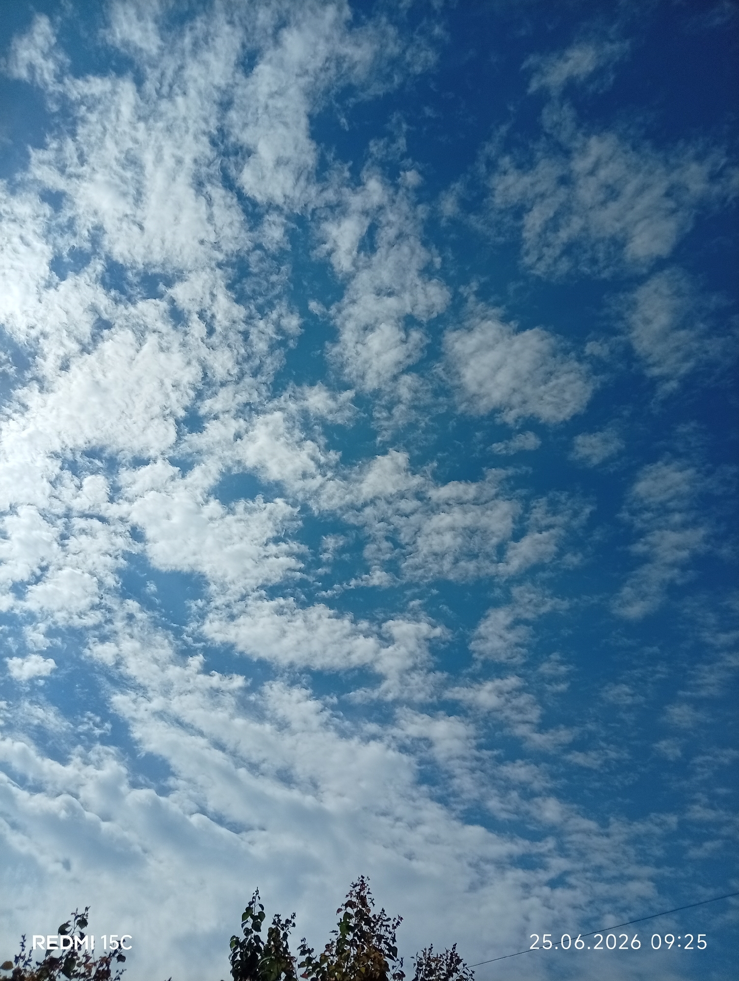 The image shows a clear blue sky filled with scattered white clouds. The clouds are wispy and varied in size, with some appearing larger and more dense than others. The lighting suggests it is daytime, likely morning due to the time stamp in the lower right corner. In the bottom portion of the image, the tops of trees with green and brown leaves are visible, indicating an outdoor scene. The bottom left corner displays the text "REDMI 15C", and the bottom right corner shows a timestamp reading "25.06.2026 09:25". The scene is a natural environment, possibly a park or a residential area with trees, under a bright sky. There are no people or animals visible in the image. The context suggests this is a snapshot taken in Mykolaivka, Ukraine, on June 25, 2026, at 9:25 AM.