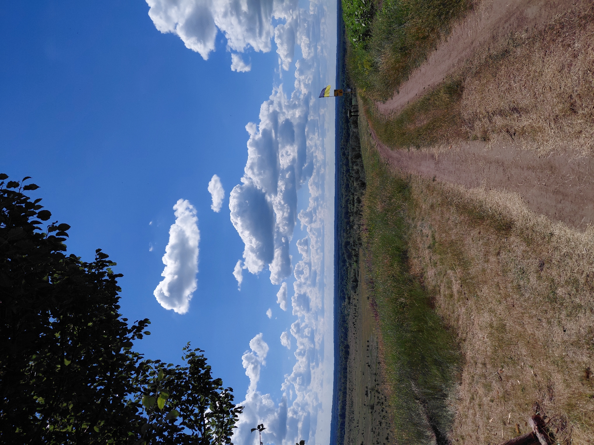 An outdoor, eye-level, wide shot captures a dirt path winding through a grassy landscape under a bright blue sky filled with white, puffy clouds. The path splits into two tracks as it moves toward the center of the frame. To the left, the dark leaves of a tree branch overhang the scene. In the distance, a wooded horizon stretches across the image. A Ukrainian flag, yellow and blue, is visible on a pole to the right of the path. The ground is covered in dry, golden grass and patches of green. The scene appears to be in a rural, open area.