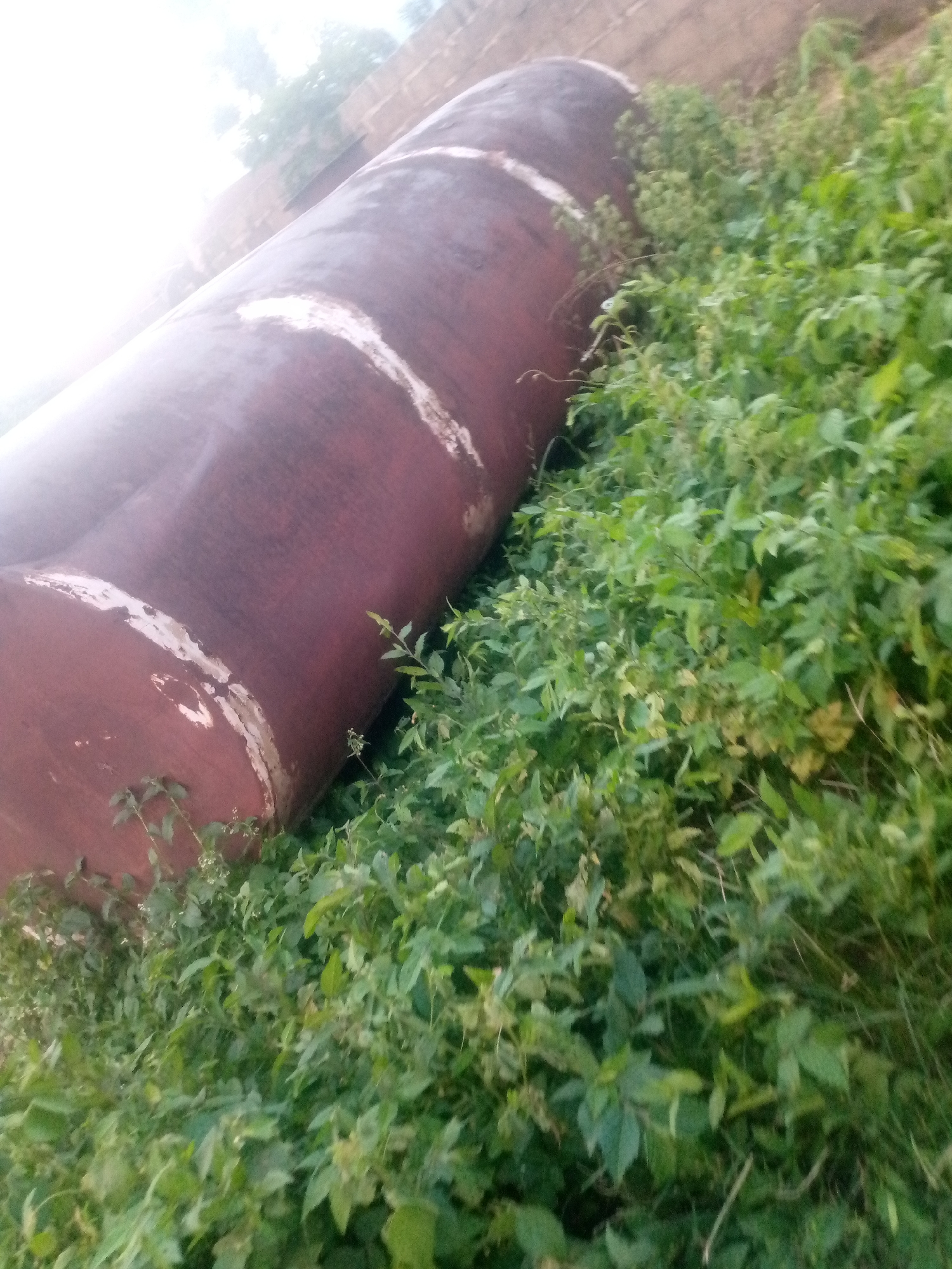 An angled, low-light photograph captures a large, horizontal, rusted metal tank lying on its side amidst lush green vegetation. The tank appears to be industrial, with visible seams or bands around its circumference. The vegetation is dense and leafy, with some dried grass stalks interspersed. The background shows a blurred, light-colored structure, possibly a wall or building, and a bright, hazy sky. The scene suggests an outdoor, possibly abandoned, location within the city of Serti, Nigeria. There are no people or animals visible in the frame, and no actions are being performed.