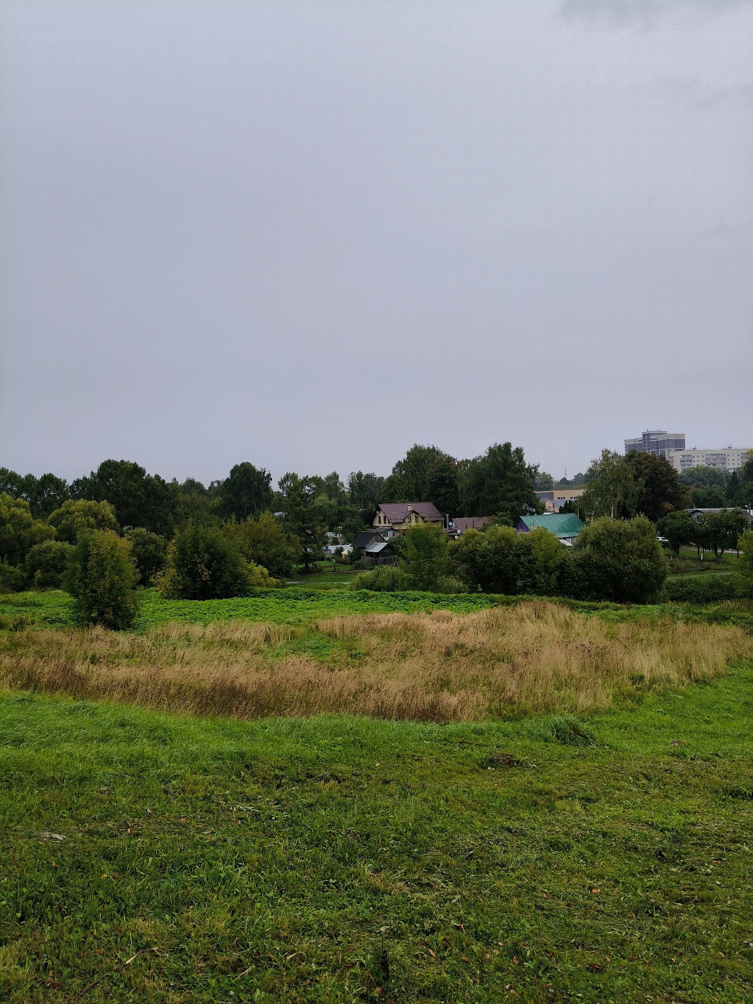 The image depicts an overcast day in Naro-Fominsk, Russia. In the foreground, a neatly mowed green lawn transitions to a field of tall, dry grass. Beyond this, a dense line of various trees forms a natural barrier, behind which several residential buildings, including houses with brown and green roofs, are visible. Further in the distance, a modern multi-story building stands against the cloudy sky. The scene is tranquil and appears to be a residential area adjacent to a natural landscape.