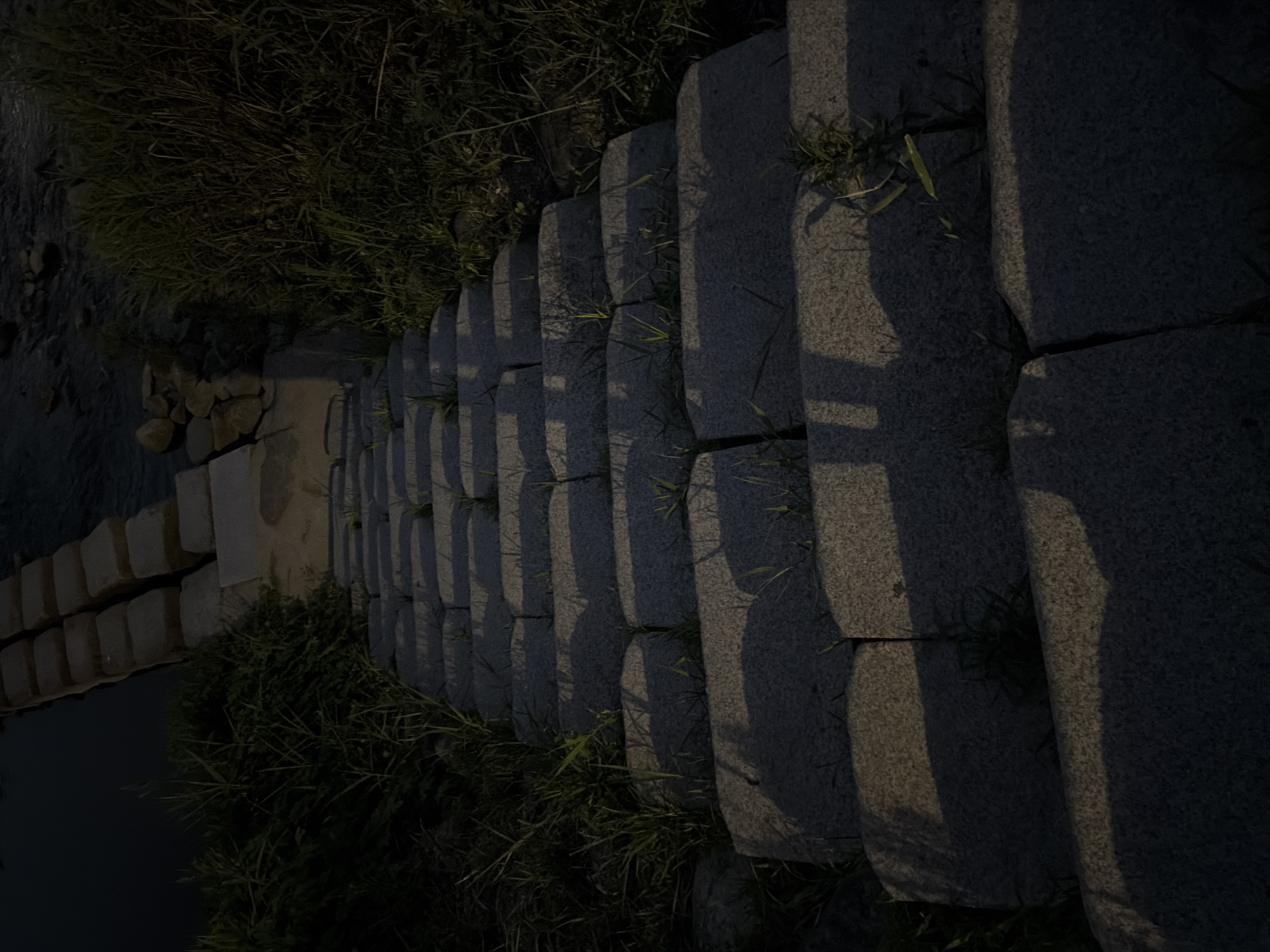A descending stone staircase with rough-hewn, rectangular stone steps, partially overgrown with green grass and weeds, is pictured. The steps are unevenly lit by ambient light, casting distinct shadows across their surfaces. The staircase appears to lead down towards a dark body of water, possibly a river or stream, on the upper left of the frame. On either side of the staircase, dense, dark green foliage and tall grasses are visible, creating a natural, somewhat wild embankment. The scene suggests an outdoor setting, potentially a park or a natural area within Dongducheon-si, South Korea. The lighting indicates it could be twilight or a shaded area. No individuals or specific actions are depicted.