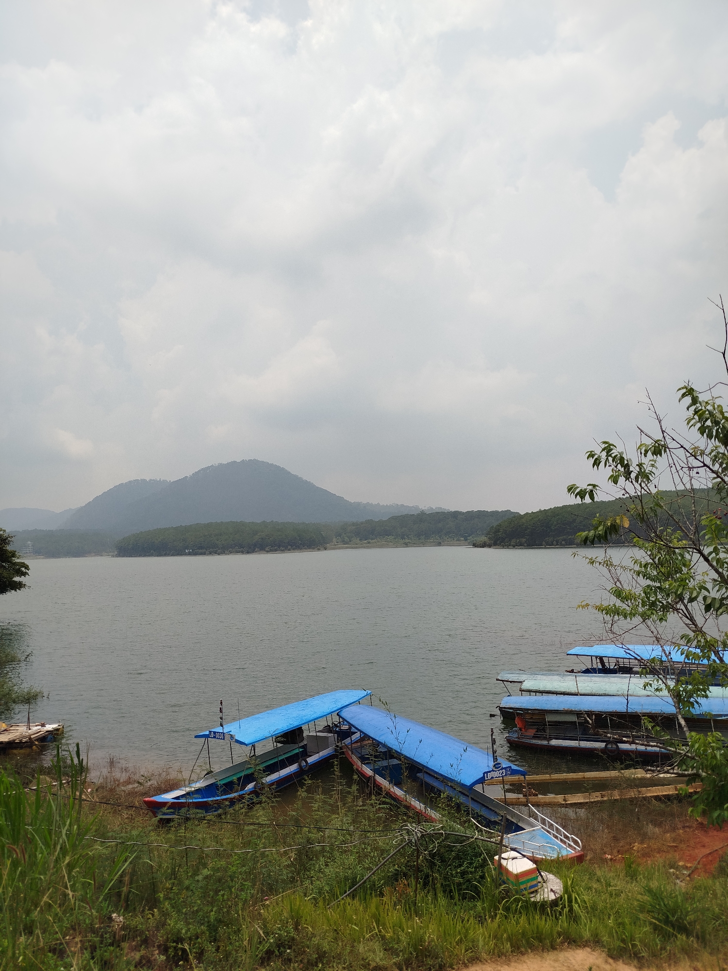 The image captures a view of Tuyen Lam Lake in Da Lat, Vietnam on an overcast day. The foreground is dominated by a grassy shoreline with several boats moored. The boats are covered with blue canopies, and some are partially submerged in the water. In the middle ground, Tuyen Lam Lake stretches towards a mountain range in the distance. The sky is grey and filled with clouds.
