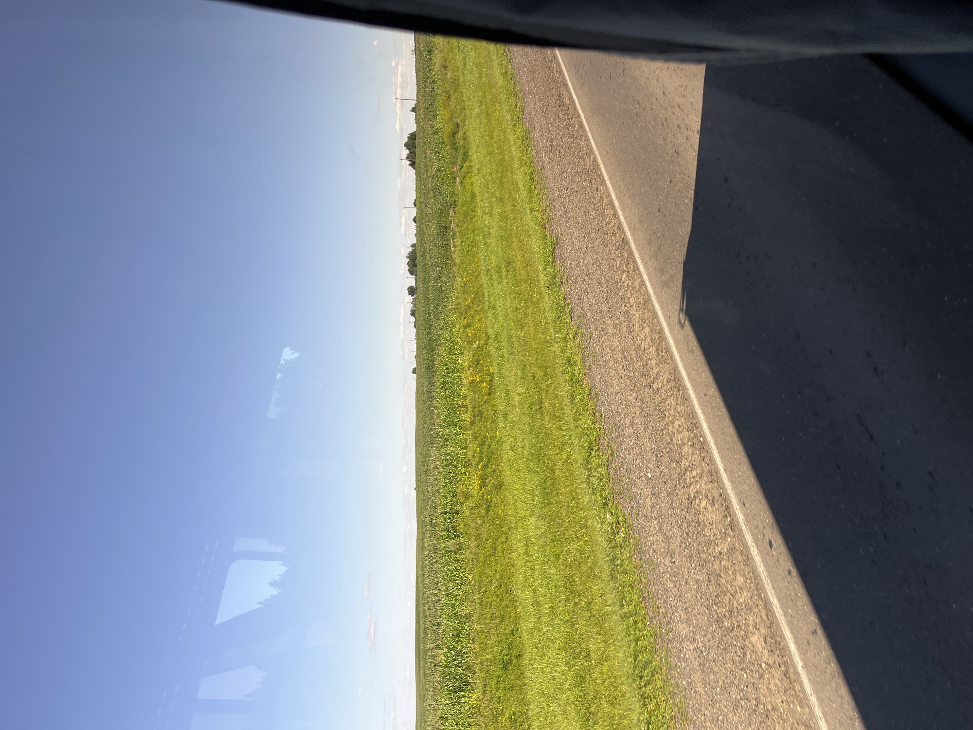 The image displays a vast, open landscape under a clear, bright blue sky. In the foreground, a paved road runs diagonally from the bottom right to the middle of the frame, casting a long, dark shadow from an unseen object. To the left of the road, a gravel shoulder transitions into a lush, green field. This field is densely populated with tall green crops, likely corn, stretching horizontally across the midground. Further in the distance, a line of trees breaks the horizon, with a few scattered structures and utility poles visible. The overall scene suggests a rural setting on a sunny day. The presence of a reflection of what appears to be window frames and trees in the upper left portion of the sky indicates that the photograph was taken from inside a vehicle. There are no people or animals visible in the frame.