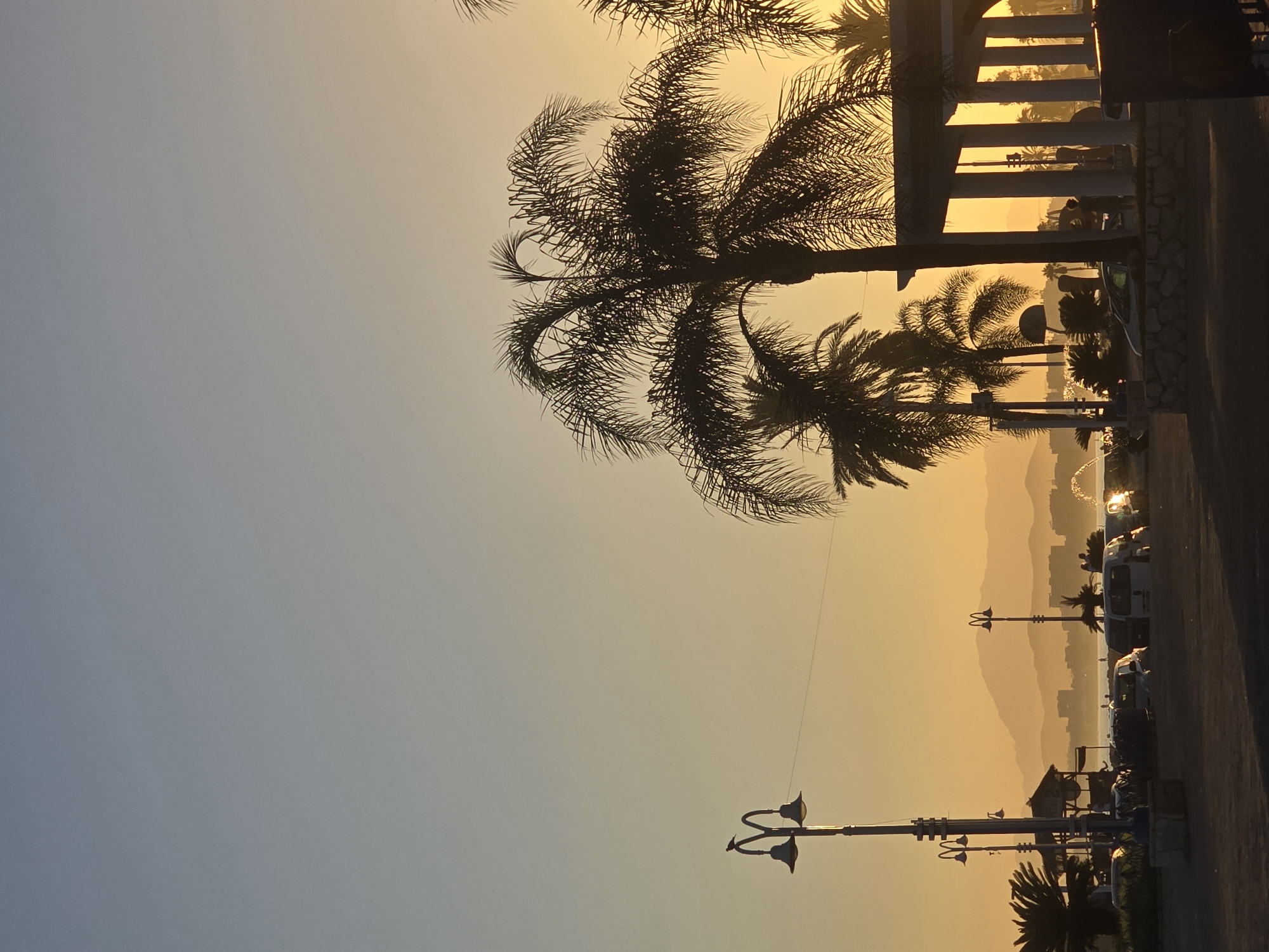 The image captures a tranquil scene at sunset in Málaga, Spain, likely along the promenade or a coastal area. The sky transitions from a pale blue at the top to a warm orange-gold hue near the horizon, indicative of the setting sun. Silhouetted against this warm glow are several palm trees, their fronds detailed and feathery.
In the foreground, a street lamp with two ornate bulbs stands on the left, with a small bird perched on one of its arms. Further to the right, a white-columned structure, possibly a gazebo or a covered walkway, is visible, also silhouetted. Beyond the palm trees and the structure, the silhouette of a city skyline with buildings and hills in the distance can be seen.
A body of water, likely the sea, is present in the mid-ground, with faint ripples visible. On the shore, there are small figures of people and a few structures, perhaps beach kiosks or restaurants. A line of cars is parked along the promenade in the mid-ground and foreground. The overall atmosphere is serene and peaceful, with the warm light creating a soft, almost dreamlike quality. The location appears to be a public space, with paved ground and a sense of a tourist or residential coastal area.