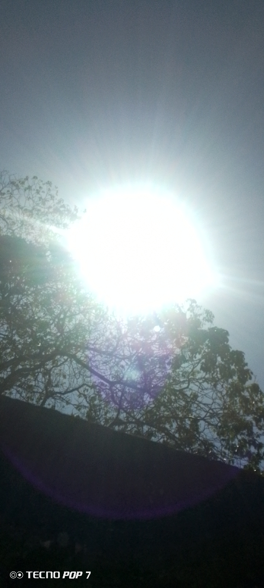 The photograph is taken from a low angle, looking upwards towards the sky. A bright, intense sunlight dominates the upper portion of the frame. In the lower half of the image, the silhouetted branches and foliage of a tree are visible, partially obscuring the sun. The bottom portion of the frame is in complete shadow, possibly a wall or other structure. The image appears to be overexposed due to the strong sunlight. At the bottom-left corner of the image, the text "TECNO POP 7" is visible, indicating the model of the camera used to capture the picture. The location appears to be outdoors, in Altagracia, Venezuela. No people or actions are visible in the image.
