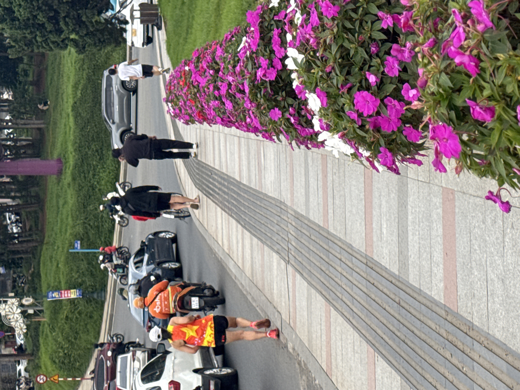 The image depicts a street scene in Lâm Viên - Đà Lạt, Vietnam, characterized by a multi-lane road with traffic and pedestrians on a sidewalk. In the foreground, a woman wearing a bright yellow and orange athletic top with a star pattern and black shorts is jogging on the sidewalk, facing away from the camera. She has a white cap on. Next to her, a person in an orange uniform, possibly a delivery driver, is riding a motorcycle.
Further down the sidewalk, two men are walking away from the camera. The man on the left is wearing a black jacket and black pants, while the man on the right is in a white t-shirt and black shorts. Behind them, various vehicles are visible, including cars and motorcycles, indicating moderate traffic. A silver SUV is parked on the right side of the road.
The sidewalk itself has a distinct textured pattern, with raised tactile paving strips for visually impaired pedestrians, alternating with lighter colored paving stones and pink linear accents. To the right of the sidewalk, a dense row of vibrant pink and white flowers, possibly impatiens, forms a floral border. Beyond the flowers, a grassy slope rises, covered in lush green vegetation, with trees in the background. The overall atmosphere suggests a lively urban environment with elements of nature.