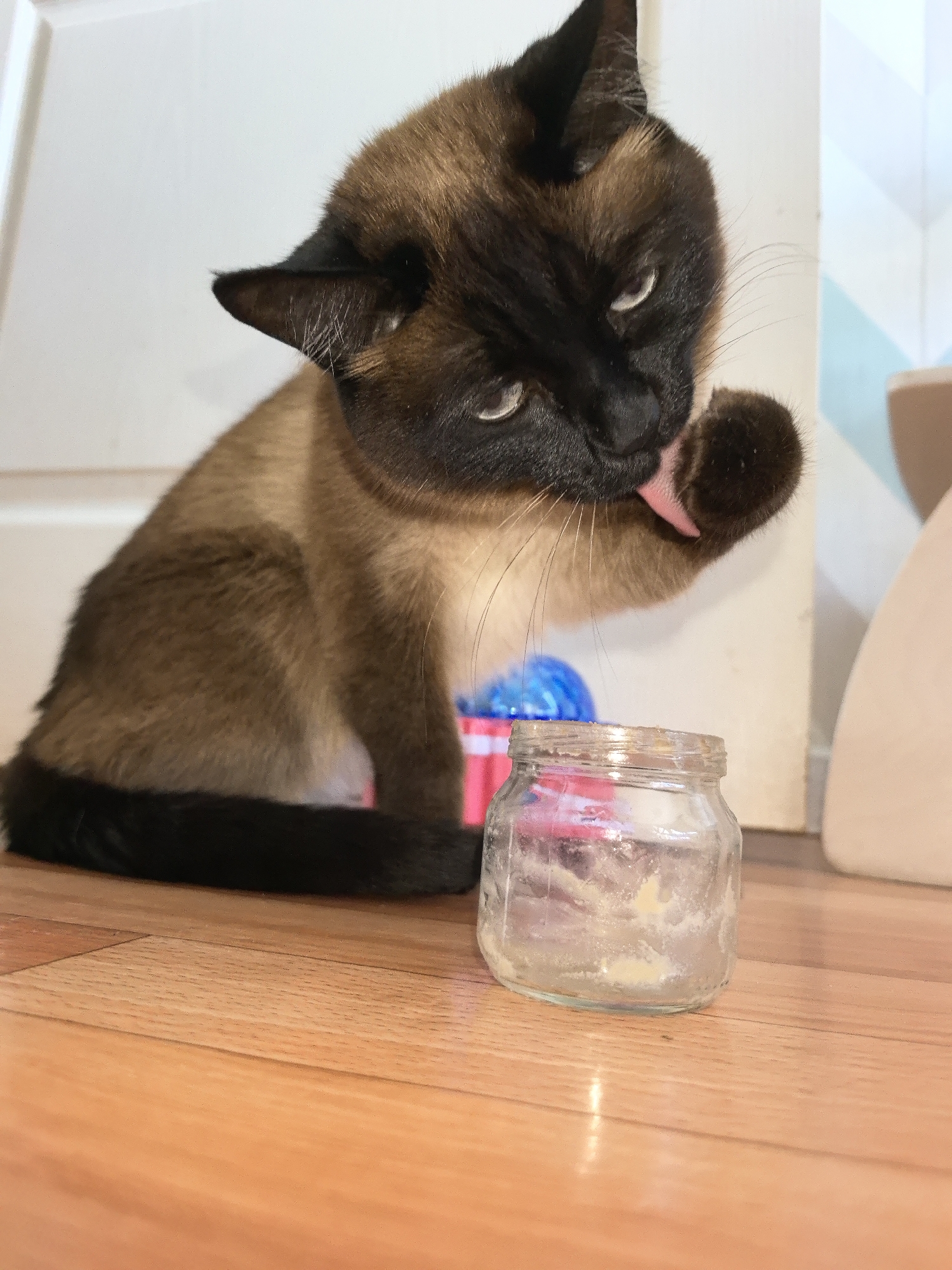In Фролы, Russia, a Siamese cat is sitting on a wooden floor, licking its paw. The cat is facing a small glass jar containing some residue. The background features a white door and part of a cream-colored wall.