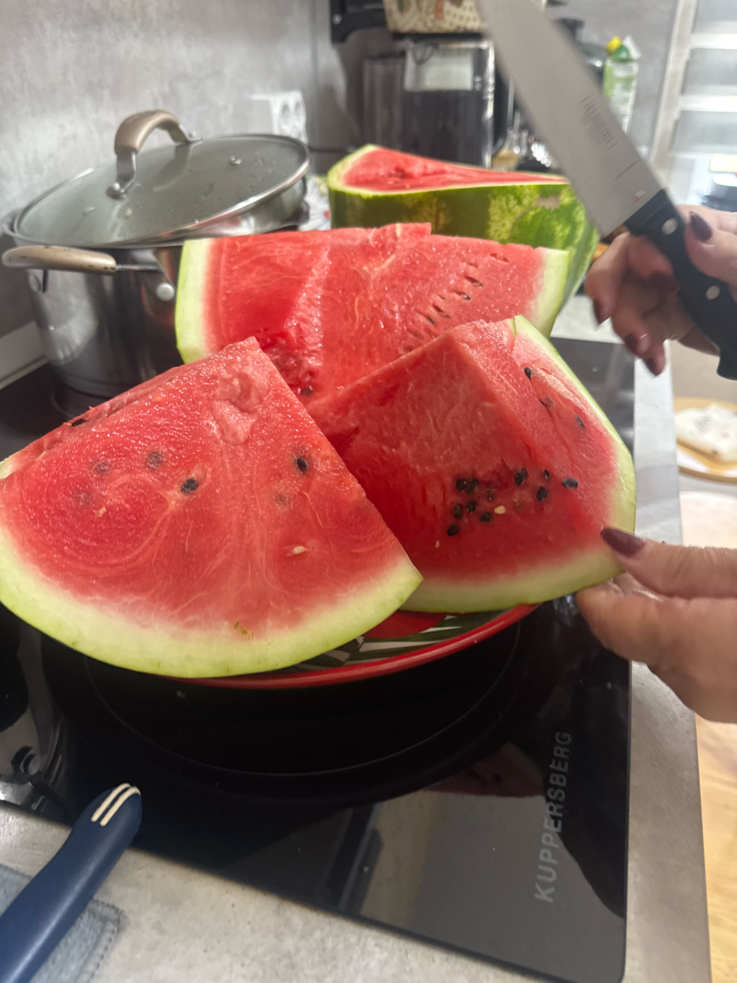 In a kitchen setting, likely in Novosibirsk, Russia, a person is in the process of slicing a watermelon. Several triangular slices of watermelon are already cut and arranged on a red and white plate, which is placed on a black induction stovetop. A knife with a silver blade and a black handle is held in the person's right hand, poised over one of the watermelon slices. The person's fingernails are painted with dark red polish. In the background, a stainless steel pot with a glass lid is visible, as well as a partially seen whole watermelon. The kitchen counter appears to be made of light-colored material, and a light-colored tile backsplash is present on the wall. A blue utensil with white stripes is partially visible in the lower left corner. The overall scene suggests a domestic activity of preparing fruit for consumption.