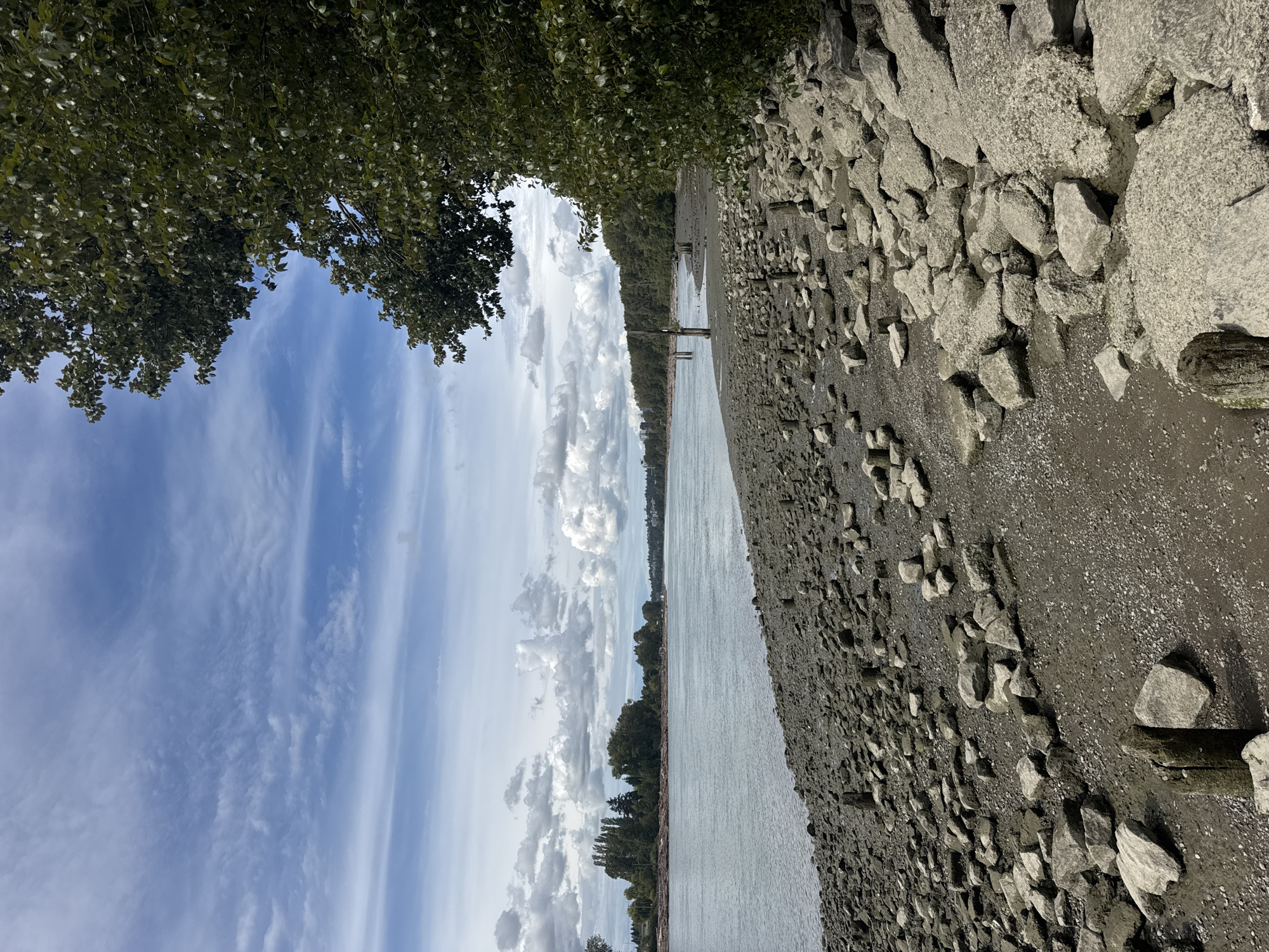 The image depicts a wide, calm riverbank on a partly cloudy day, likely at Burnaby, Canada, given the presence of a mature evergreen tree bordering the right side of the frame. The foreground is dominated by a rocky, muddy shore littered with numerous weathered wooden posts, remnants of a former pier or structure. These posts vary in height and thickness, some are partially submerged in the mud, while others stand upright. The rocks on the shore are of various sizes and colors, ranging from small pebbles to large, light-colored boulders.
The river itself occupies the left side of the image, appearing serene and reflecting the sky. In the distance, the opposite bank is lined with a dense forest of green trees. The sky above is a mix of blue and white, with scattered, fluffy cumulus clouds and wispy cirrus clouds. The overall impression is one of a natural landscape with signs of past human activity. There are no people or animals visible in the image.