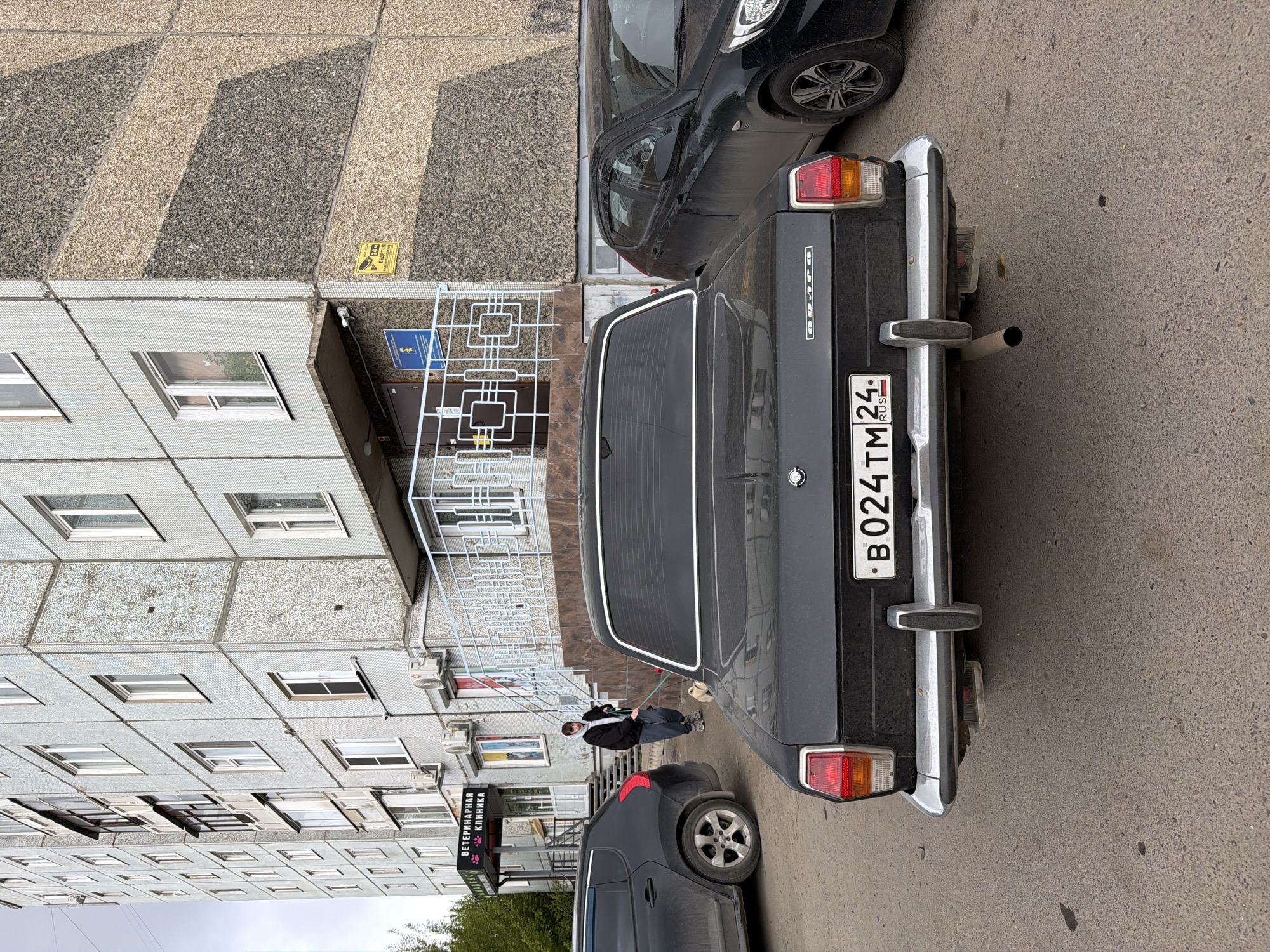 The image shows a street scene in what appears to be a residential area. A gray Soviet-era car, specifically a GAZ-24 Volga, is parked on the right side of the frame. Its license plate reads "В024ТМ 24", indicating it is registered in the Krasnoyarsk Krai of Russia. Next to the Volga is a black modern car. A person with a dog on a leash is walking in front of a building. The building has multiple windows and a sign that reads "Ветеринарная Клиника" (Veterinary Clinic) in Russian. The building facade is light gray with a pattern of squares. The sky is overcast.