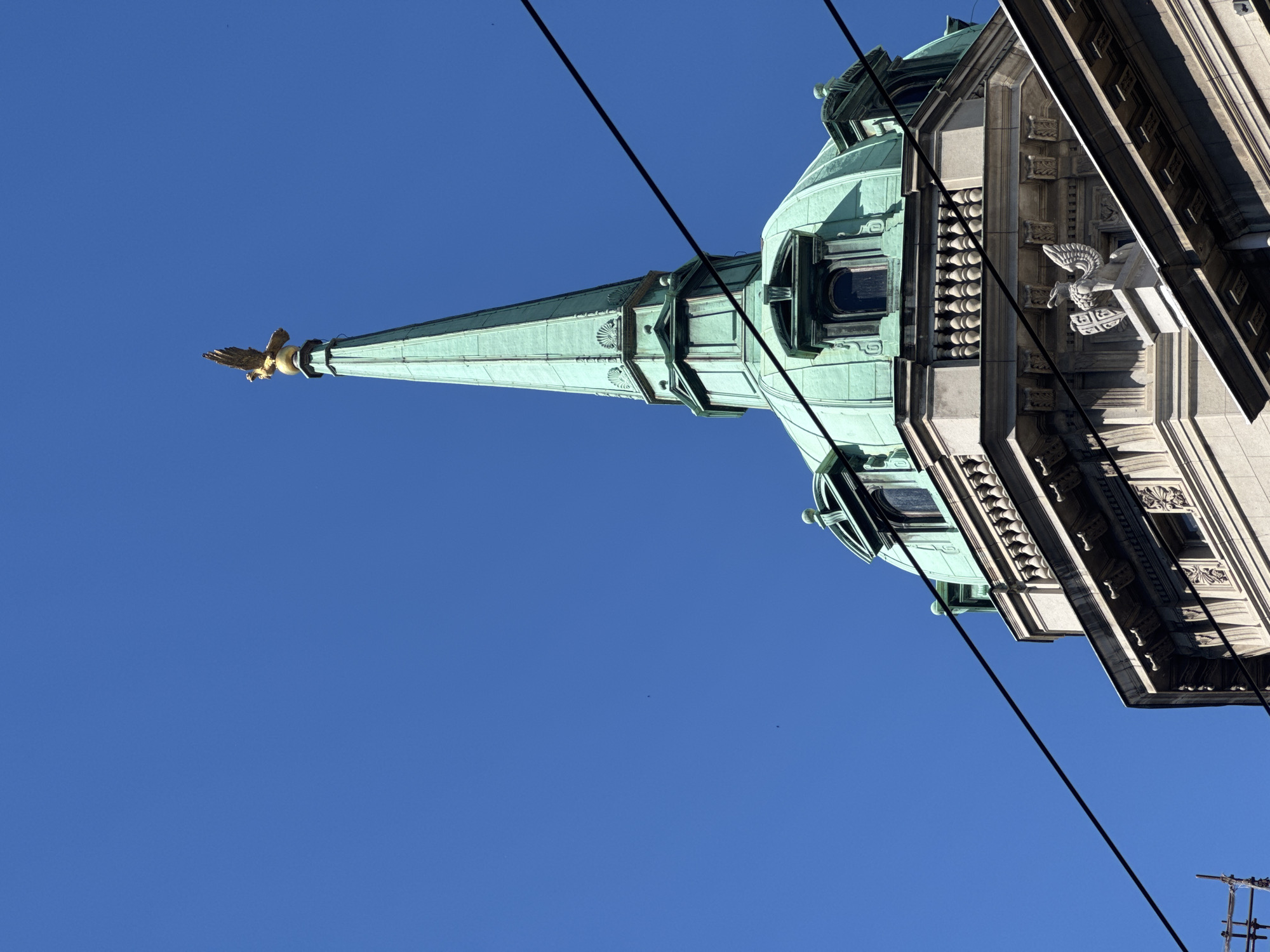 The image shows the top of a building in Belgrade, Serbia, dominated by a green copper dome and spire. The spire is topped with a golden eagle statue, which appears to be a decorative element. The dome is octagonal and has several windows. The building's facade is made of stone and features ornate architectural details, including decorative carvings and a balustrade. In the foreground, several black wires cross the image, obscuring parts of the building and the sky. The sky is a clear, bright blue, suggesting a sunny day. The overall impression is of an old, majestic building in an urban setting.