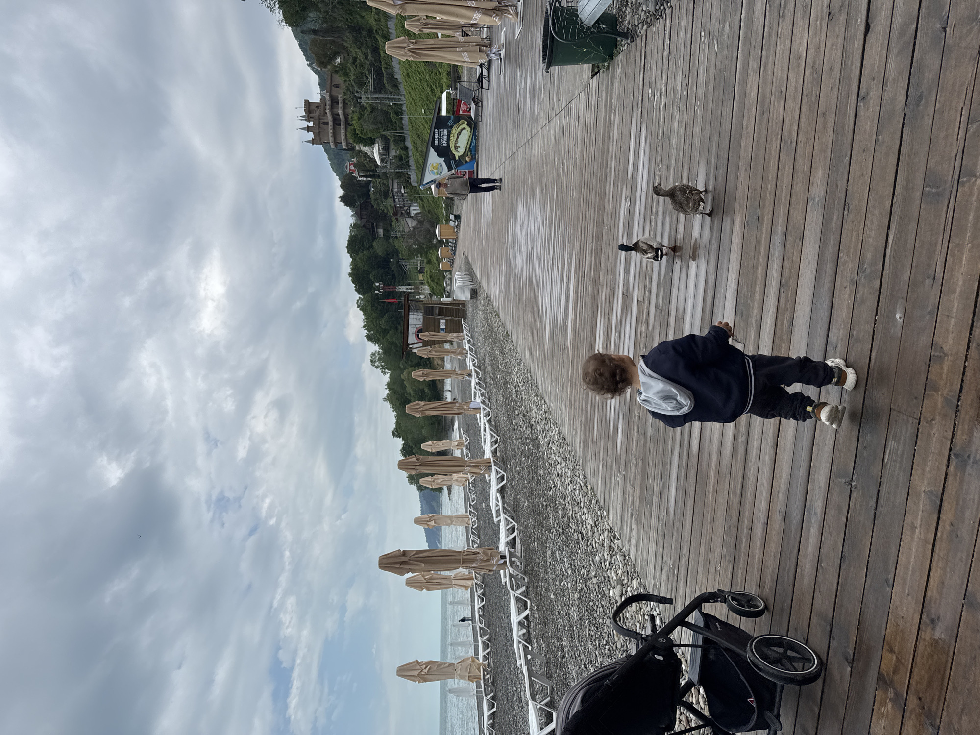 A slightly rotated outdoor shot features a child and two ducks on a wooden boardwalk. The child, facing away from the camera, is wearing a dark jacket with a light hood and dark pants. The two ducks are waddling on the boardwalk ahead of the child. A black stroller is visible in the bottom right corner.
To the left of the boardwalk is a stony beach with rows of closed beach umbrellas and white lounge chairs. In the background, a hillside is visible with buildings, including a castle-like structure.
The overcast sky suggests the weather may be damp. The image appears to be taken on a promenade or boardwalk along the Black Sea coast near Sochi, Russia.