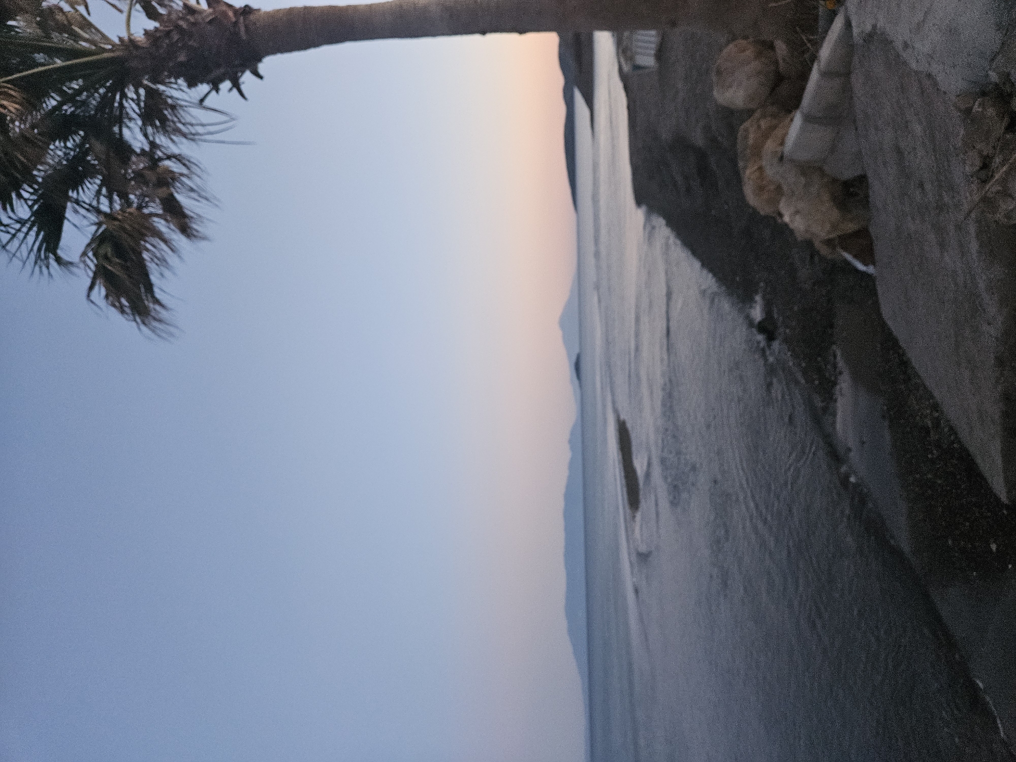 An outdoor, eye-level, medium shot captures a tranquil beach scene at dusk in Seferihisar, Turkey. The sky transitions from a pale blue at the top to a soft pink and orange hue near the horizon, suggesting the sun is either rising or setting. In the foreground, a palm tree stands on the right, its fronds rustling in the gentle breeze, with its trunk dominating the right edge of the frame. The ground beneath the palm tree is a mix of rocks and sand. To the left of the palm tree, the dark, pebbly shore slopes down to the sea, where calm, dark water laps gently. The water is illuminated by the soft twilight glow. In the distance, a chain of silhouetted hills or mountains stretches across the horizon, appearing hazy in the fading light. The overall atmosphere is serene and peaceful, conveying the quiet beauty of the coast at twilight. There are no people or animals visible in the image.