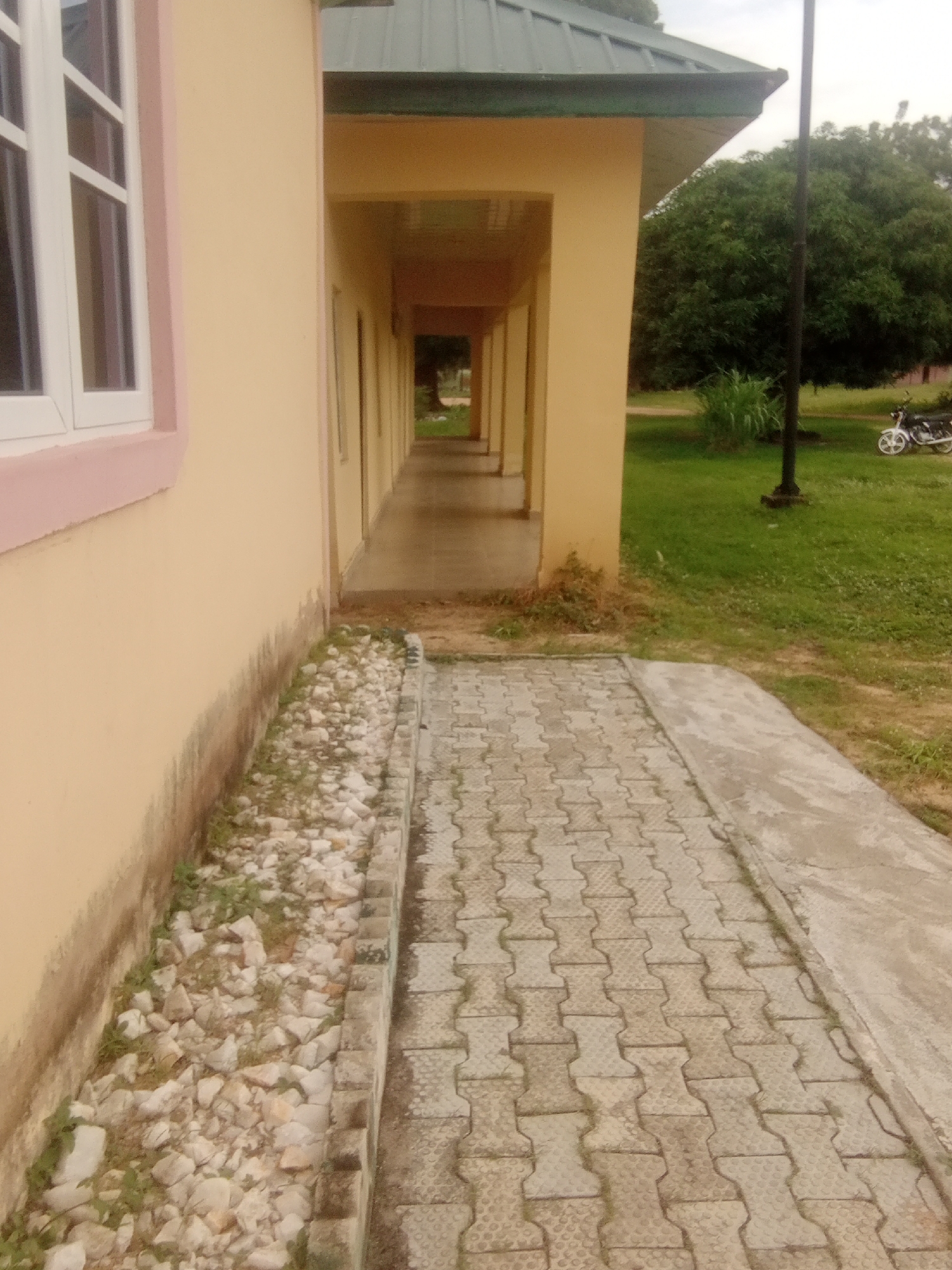 The image shows a covered walkway with cream-colored walls and a green metal roof. The walkway extends into the distance, with visible pillars supporting the roof. On the left side of the walkway, there is a large window with white frames and a pink trim around the building's exterior. A strip of white pebbles and some sparse green vegetation runs along the base of the building, adjacent to the walkway. The walkway itself is paved with interlocking concrete blocks. To the right of the walkway, there is a grassy area with trees in the background. A black lamppost stands in the grassy area, and a white motorcycle is parked on the grass further in the distance. The sky is overcast, suggesting a cloudy day. The overall scene depicts an outdoor environment, possibly part of an institutional building or a residential complex, located in Jalingo, Nigeria. There is no visible text in the image.