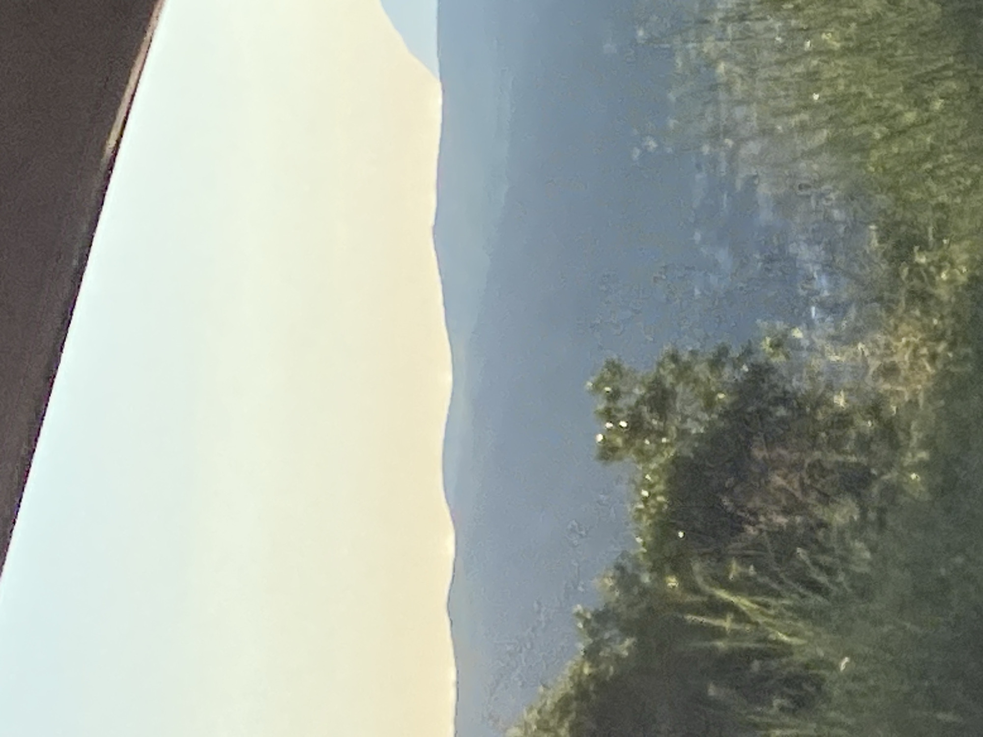 The image depicts a hazy, distant view of rolling hills or mountains at dusk or dawn. The sky is a pale yellow to white gradient, with a dark, blurred structure across the top edge of the frame, suggesting a foreground element such as a roof or balcony. The middle ground features layered, blue-toned mountain ridges that fade into the atmosphere. In the foreground, a dense cluster of green foliage, including bushes and tall grasses, partially obscures the view of the landscape and the settlement visible between the hills. The settlement appears as a collection of faint, indistinct shapes, suggesting houses or buildings. The overall impression is one of a natural landscape seen from an elevated vantage point, with a touch of human habitation interspersed. The provided location information for Seoce, Montenegro, indicates a coastal region with mountainous terrain, which is consistent with the visual elements presented in the photograph.