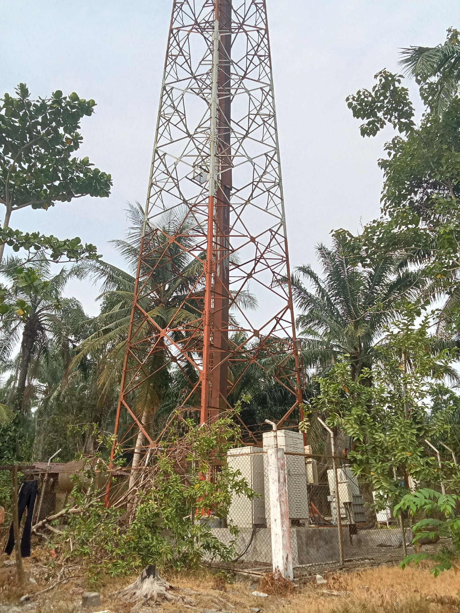 An outdoor, wide-angle, eye-level shot depicts a tall, lattice telecommunications tower in the city of Selat Beting, Indonesia. The tower, painted white and a rusty orange, is the central subject. The surrounding environment is lush with vegetation, including numerous palm trees and other leafy green trees, indicating a tropical or subtropical setting. In the foreground, to the left, a chain-link fence encloses a small compound. Hanging on this fence are a pair of dark trousers. Within the compound, several rectangular electrical cabinets or equipment boxes are visible, situated on a concrete base. The ground is covered with dry grass and a tree stump with exposed roots is present in the lower left. The sky is overcast and a pale white, suggesting either a cloudy day or early morning/late evening light.