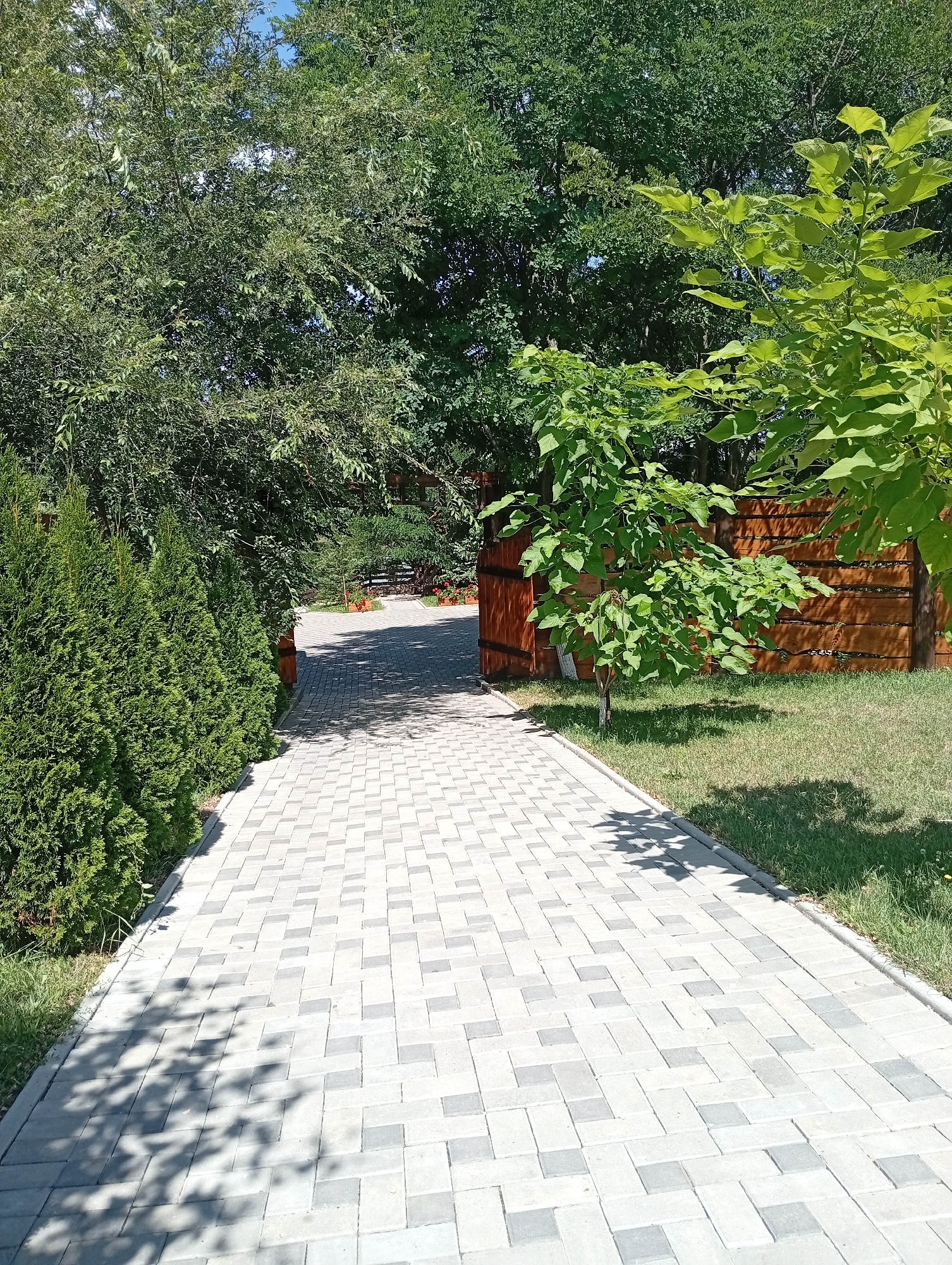 The image shows a paved pathway in a park-like setting. The pathway is made of light gray and darker gray rectangular stones arranged in a repeating pattern. On the left side of the pathway, there are tall, manicured evergreen bushes. On the right side, there is a grassy area with a young tree with light green leaves in the foreground, and a wooden fence in the background. Behind the fence, more trees are visible. The pathway leads towards an open gateway framed by trees, with a glimpse of more greenery and possibly some potted plants beyond. The scene is illuminated by sunlight, casting shadows from the trees onto the pathway and the grass. The location is identified as Strășeni, Moldova. There are no people visible in the image.