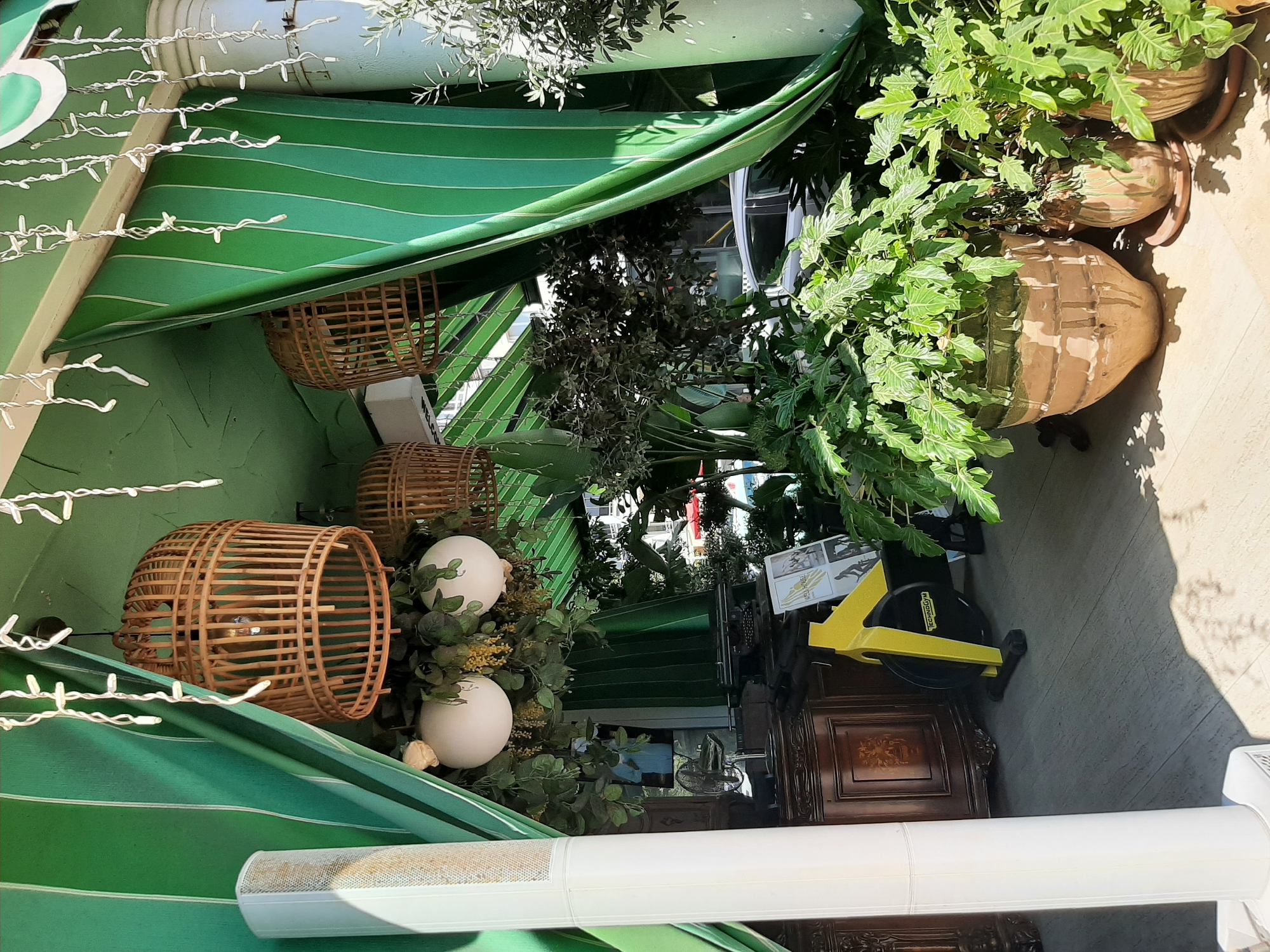 The image depicts an outdoor seating area, possibly a cafe or restaurant, in Alanya, Turkey. The scene is dominated by lush green curtains with white vertical stripes, creating a shaded and vibrant atmosphere. Two woven rattan pendant lights hang from the ceiling, illuminating the space. Large potted plants, including a philodendron with deeply lobed leaves, are strategically placed around the area, adding to the tropical ambiance.
In the background, a wooden cabinet with intricate carvings is visible, and a vintage typewriter sits on a surface. To the left of the cabinet, a stationary exercise bike with yellow accents is positioned. A white cylindrical speaker stands prominently in the foreground on the left.
A large white column is situated to the right of the scene, partially obscured by foliage. The flooring appears to be tiled. In the distance, through the open entrance, a silver car and buildings can be seen, suggesting an urban environment. The overall impression is one of a well-decorated and inviting outdoor space.