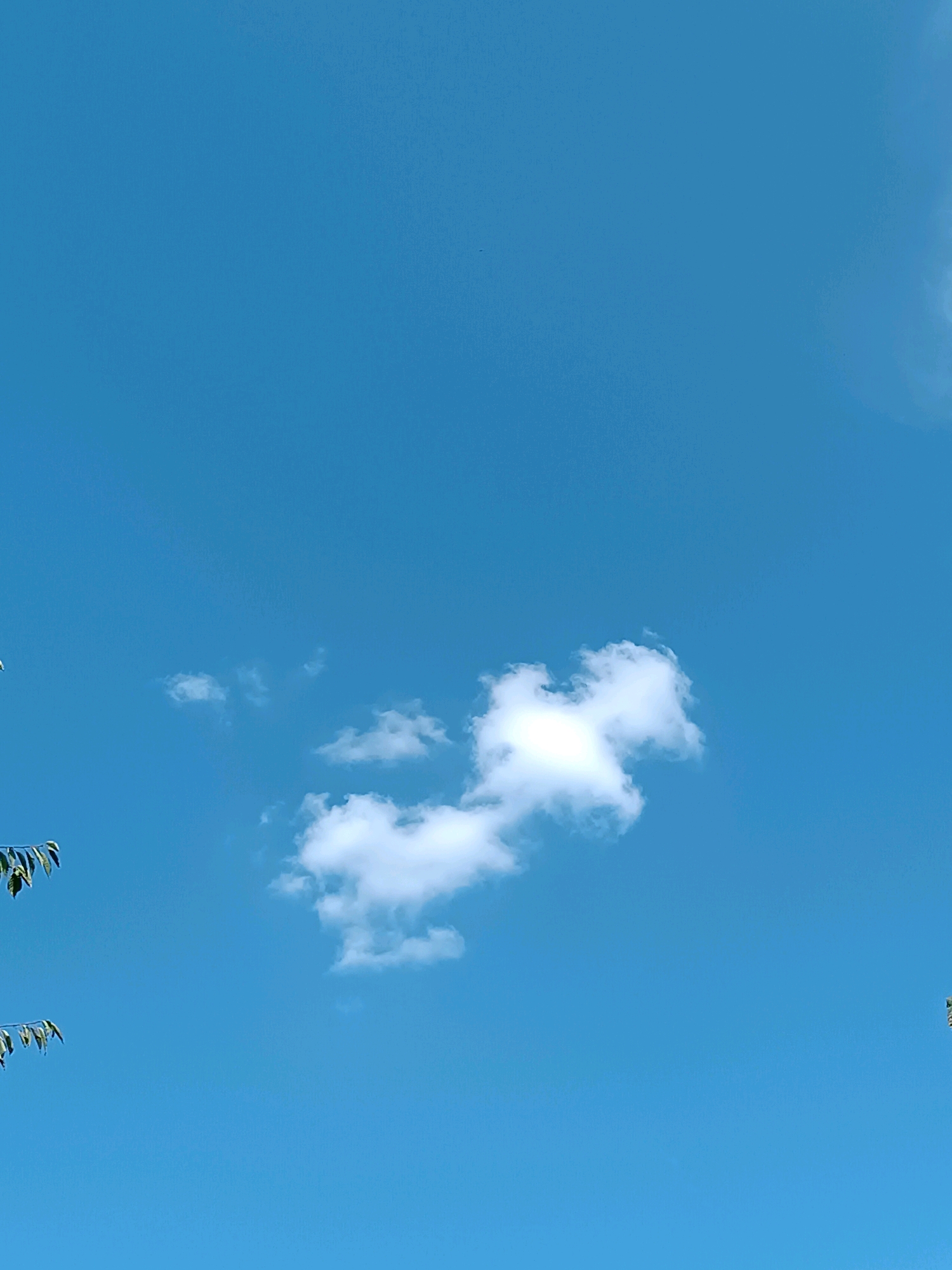 The image is a vertical, medium-shot of a clear blue sky with a few scattered white clouds. In the lower left corner, there are two branches with green leaves, partially obscuring the sky. The main focus of the image is a larger, fluffy white cloud in the center right, which appears somewhat heart-shaped. There are no people, buildings, or other objects visible. The environment appears to be outdoors on a sunny day. The location is stated to be in Chișinău, Moldova, although this is not visually discernible from the image itself.