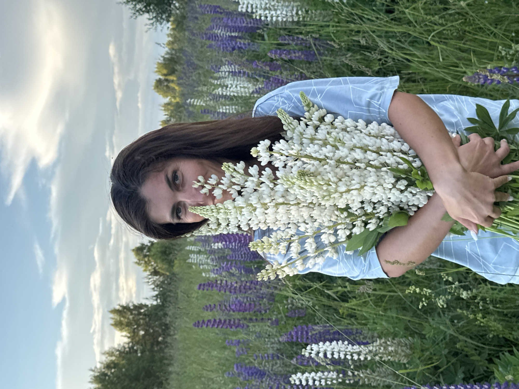 In Vassyata, Russia, a woman with long, dark hair stands in a field of lupines. She is holding a large bouquet of white lupine flowers, which she is partially hiding behind. The flowers are tall and slender, with many small blossoms. The field is filled with lupines of various colors, including purple and white, as well as green grass and trees in the background. The sky above is cloudy, with hints of blue and yellow light. The woman is wearing a light blue t-shirt with a geometric pattern. Her face is visible, and she is looking towards the camera with a slight smile. Her hands are holding the bouquet of flowers, and her fingernails are painted white.