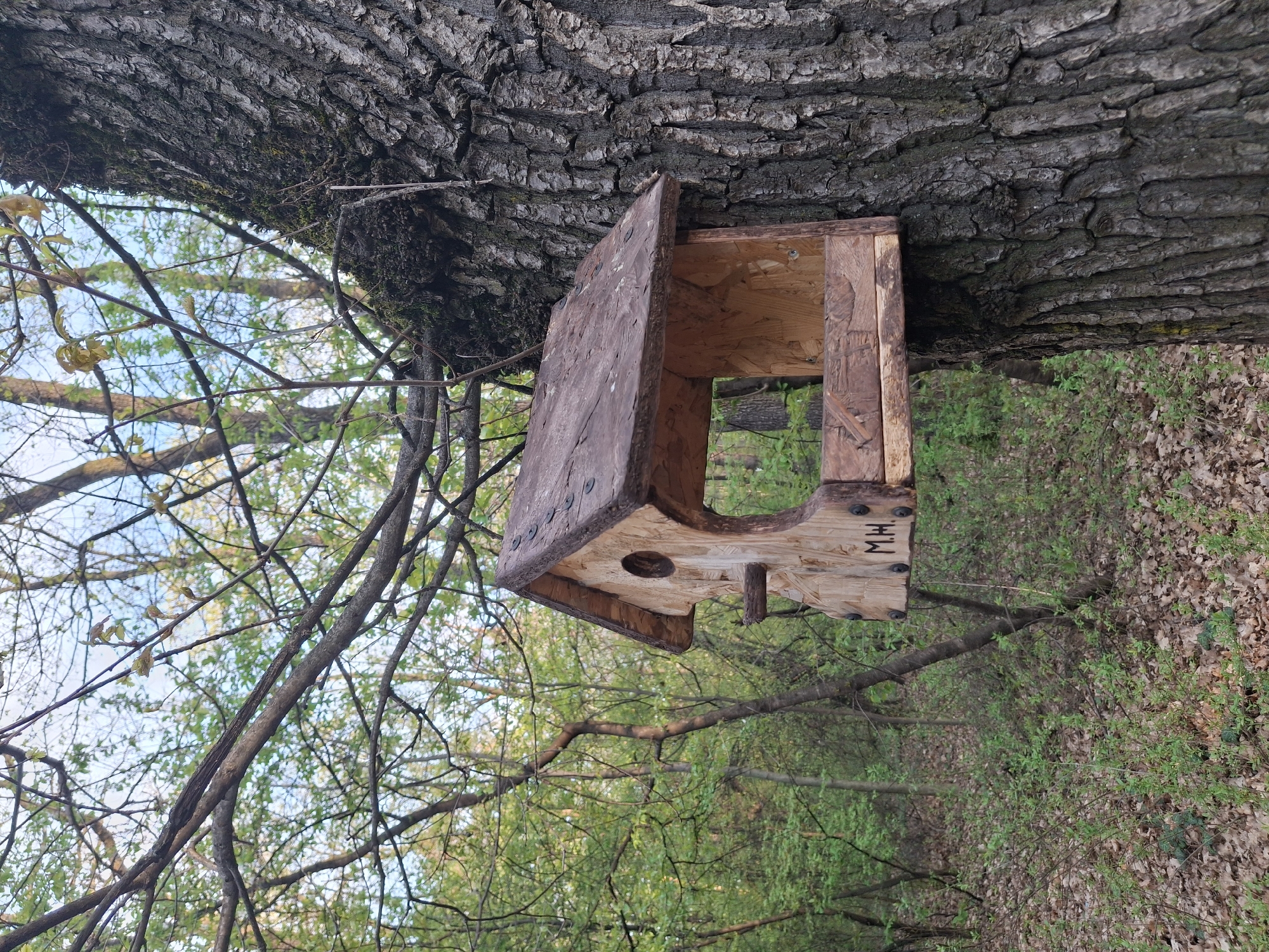 A wooden birdhouse with a small hole and a perch is attached to a large tree trunk with rough bark. The birdhouse is made of wood and has the letters "MH" carved into its side. The background consists of trees and a forest floor covered in leaves and vegetation. The sky is visible through the branches, suggesting it's daytime. The scene appears to be in a wooded area, potentially a park or forest. The location is Unknown, Unknown.