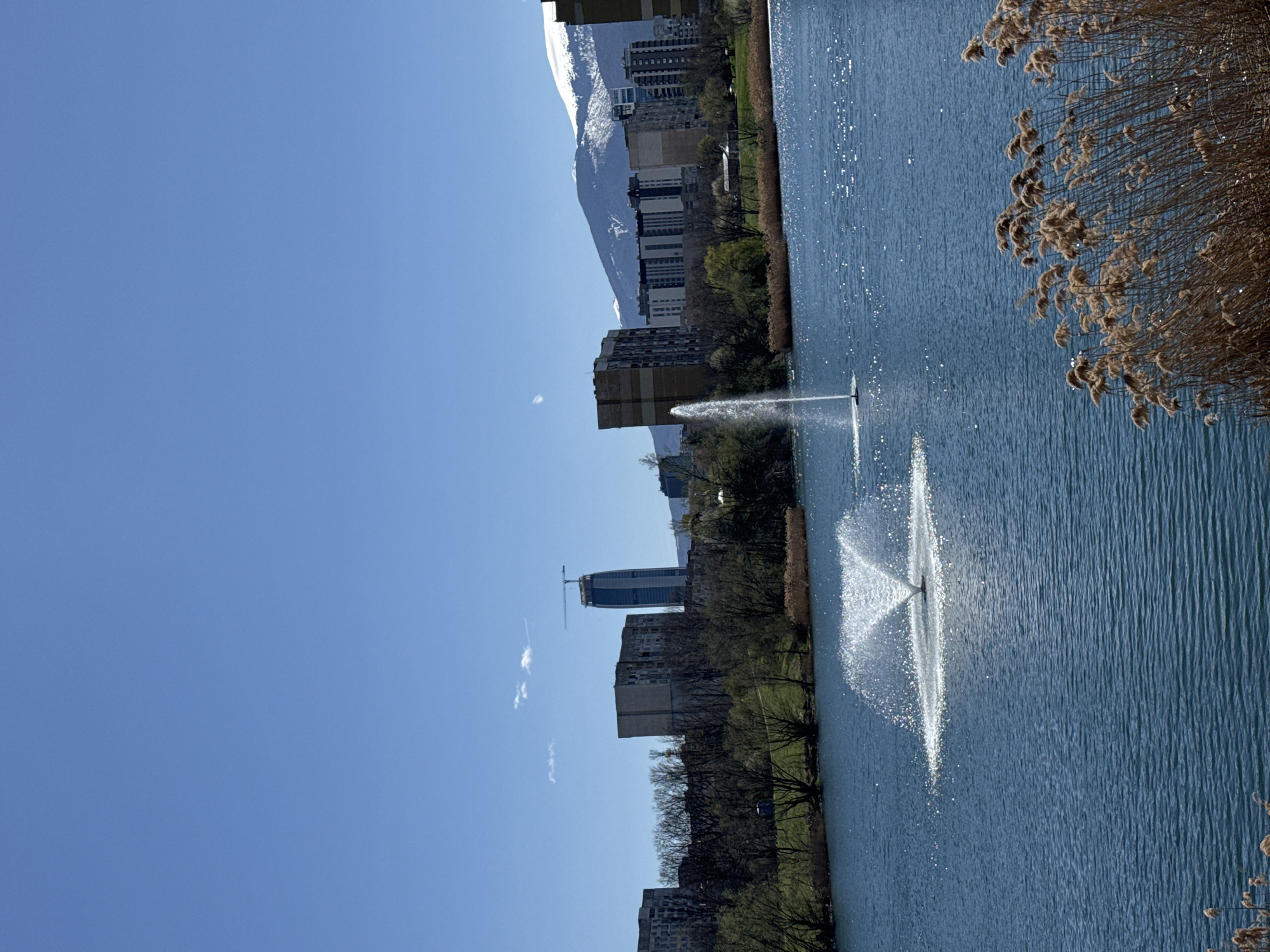 The image depicts a lake with two fountains spraying water upwards. Buildings, including a high-rise under construction with a crane, line the lake's edge. Trees are planted along the bank. In the background, snow-capped mountains are visible. The sky is clear and blue. Reeds are present on the right-hand side of the lake. Based on the buildings, mountains, and overall layout, the location is likely Lake Ariana in Sofia, Bulgaria.