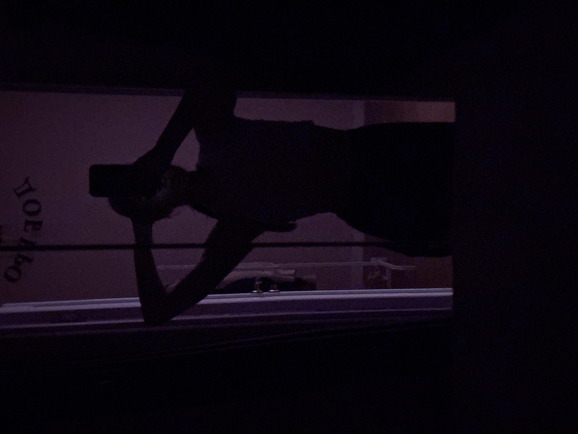 The image captures a dark, low-light mirror selfie. A person is visible in silhouette, holding a smartphone with both hands, positioned in front of their face, indicating they are taking the photograph. The person's arms are raised, with one arm extended to hold the phone and the other likely resting on or near their head. The figure appears to be wearing a top and bottoms. The background, reflected in the mirror, reveals a room with a light-colored wall. To the left of the person's reflection, a white or light-colored door frame is visible, and a door handle mechanism can be discerned on the door jamb. Above the person's head, inverted Cyrillic text is visible on the wall, reading "О Д Е Б О" (OBEDO) or similar characters. The entire scene is dimly lit with a predominant purple-magenta tint. The setting is located in the city of Perm, Russia.