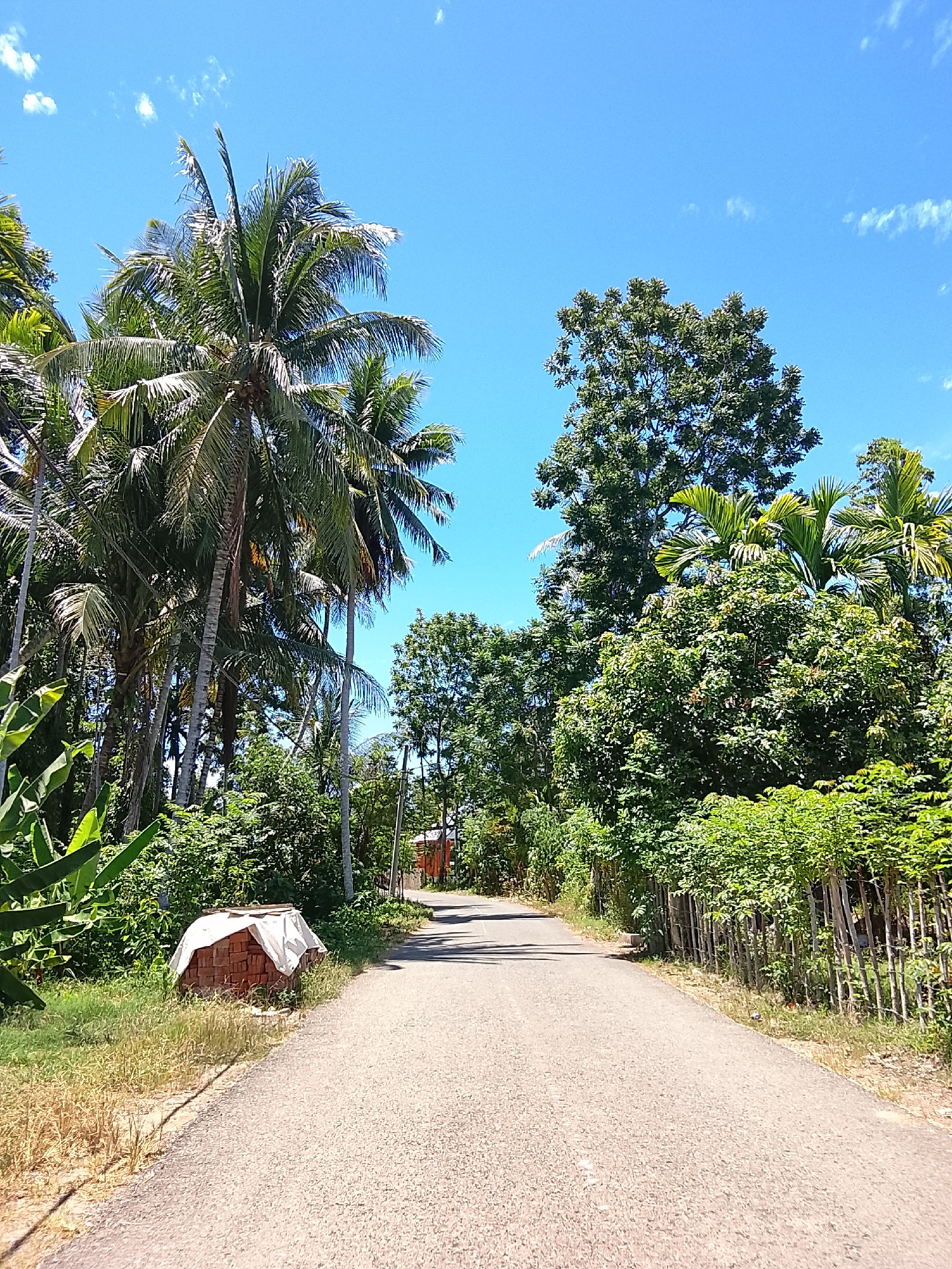 The image depicts a paved road lined with lush green vegetation and trees, characteristic of a rural or semi-rural environment in Rhieng Krueng, Indonesia. The sky is a clear, bright blue with a few wispy white clouds. On the left side of the road, a pile of bricks covered with a white tarp is visible, situated next to tall green plants. Further down the road, on the right, a fence made of thin wooden posts separates the road from more dense foliage. The road appears to be empty, suggesting a quiet and tranquil setting. The overall impression is one of a sunny day in a tropical landscape.