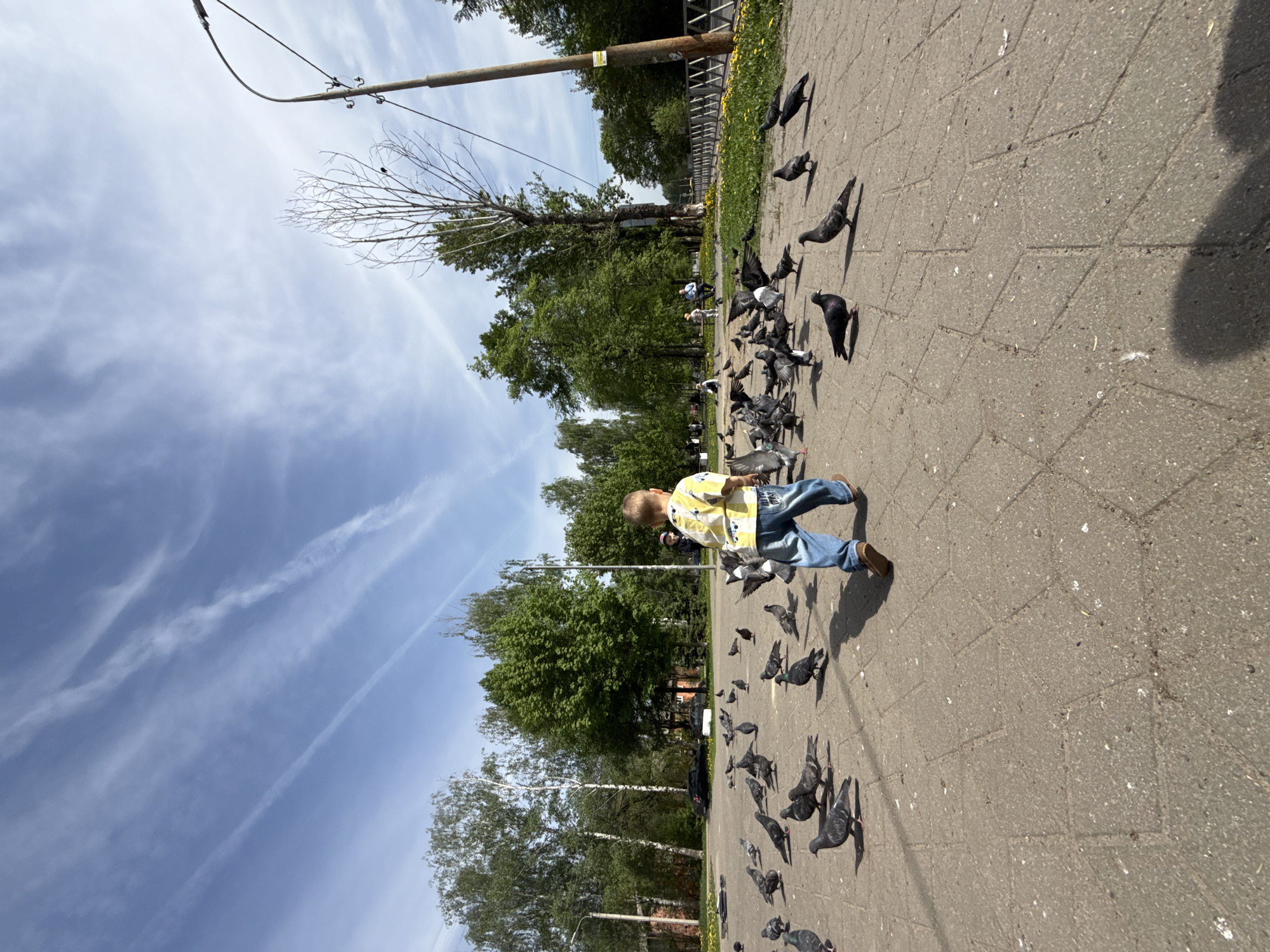 A young child wearing a yellow patterned shirt and jeans is walking on a paved area surrounded by a flock of pigeons. The child appears to be in motion, possibly scattering the birds. The location is outdoors, likely a park or public square. Background elements include trees, a utility pole, and a partially cloudy sky. The image orientation is rotated. The location is Yazvitsevo, Russia.