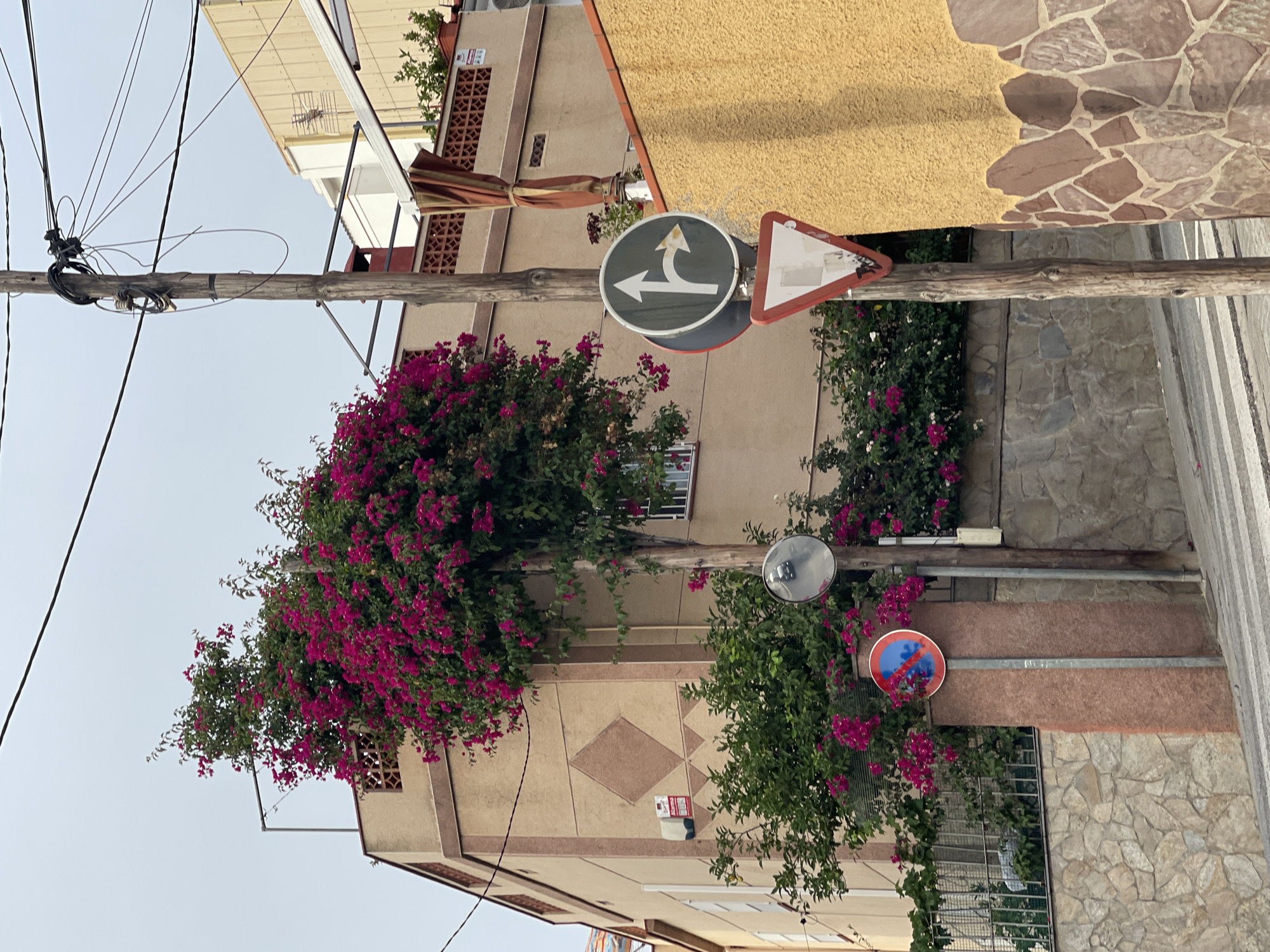 This image depicts a street scene in Santa Coloma de Gramenet, Spain, featuring a building adorned with vibrant pink bougainvillea flowers. The building is beige with a diamond pattern on its facade. In the foreground, a wooden utility pole stands, supporting a tangle of electrical wires and several traffic signs. One sign is a circular blue sign with a red border and a red diagonal line, indicating "no parking." Another circular sign displays white arrows, suggesting a mandatory turn. Below this is a red-bordered triangular yield sign. A security mirror is mounted on the utility pole. The background shows more buildings and a stone wall. The overall impression is a Mediterranean street bathed in overcast light.