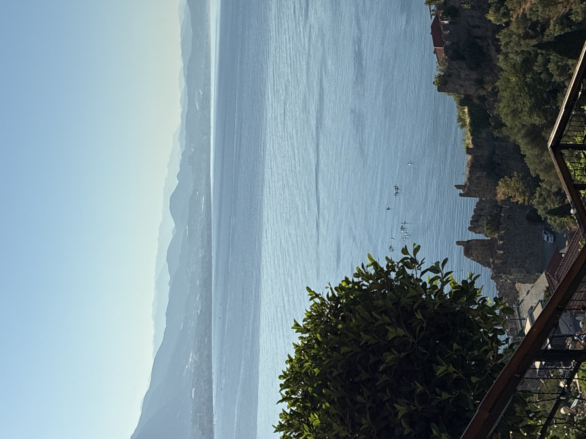 This is an elevated, outdoor, medium-shot photograph taken on a clear day, showing a view over the Mediterranean Sea from the city of Alanya, Turkey. In the foreground, a large, dark green leafy bush partially obstructs the view on the left side of the frame, with a dark wooden railing running horizontally across the lower portion of the image. Beyond the bush and railing, ancient stone ruins of a castle or fortress are visible on a hillside, with a red-tiled roof of a building peeking out from behind the ruins. A paved road with a white car is visible between the ruins and some residential buildings. The sea is a calm, pale blue, with numerous small, distant figures on what appear to be kayaks or paddleboards scattered across its surface. In the background, a hazy, mountainous coastline stretches across the horizon, with layers of mountains fading into the clear, pale blue sky. The overall scene is serene and depicts a scenic coastal landscape with historical elements.