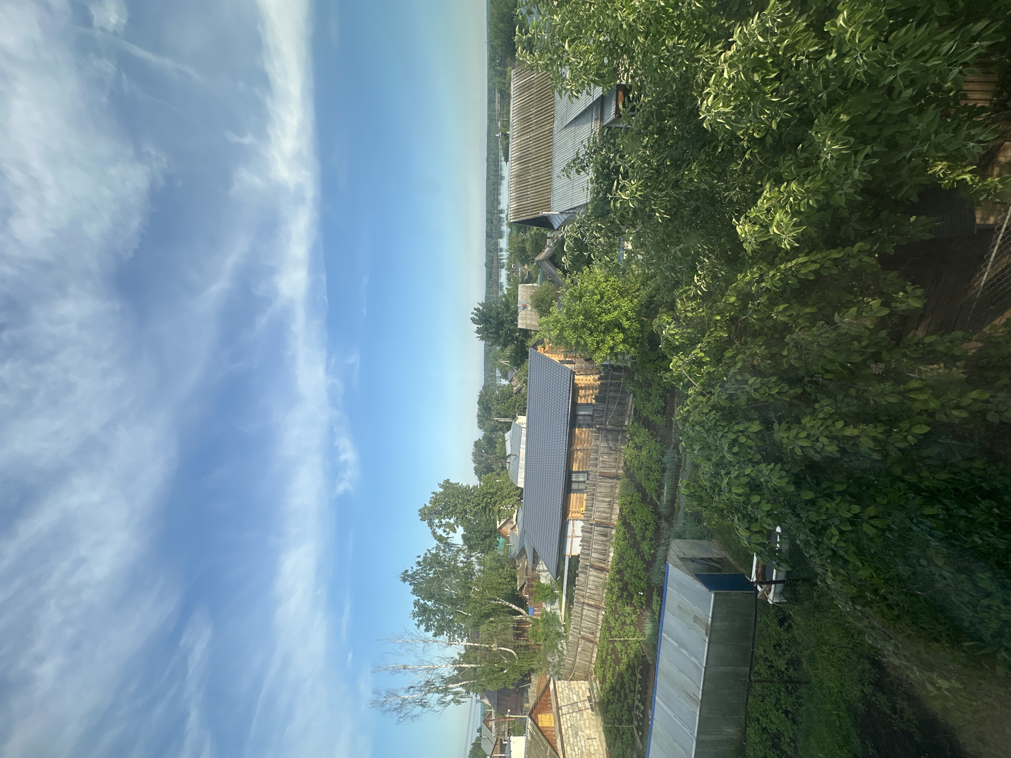 The image presents an elevated, panoramic view of a rural or semi-rural residential area, likely overlooking a large body of water. The scene is illuminated by bright daylight under a clear, pale blue sky with wispy, scattered white clouds, suggesting fair weather.
In the foreground, dense green foliage from trees and bushes frames the right side of the image, with sunlight highlighting individual leaves. A greenhouse or similar transparent structure with a metal frame is visible in the lower right corner, next to what appears to be cultivated garden plots.
The middle ground features several houses with varied roofing materials, including dark shingles and corrugated grey sheets. Many of the houses are constructed of wood, and wooden fences delineate property lines. Abundant green trees, including some with distinctive white bark, characteristic of birch trees, are scattered among the dwellings, adding to the lush appearance of the area.
In the background, a wide expanse of calm, light blue-green water stretches towards a hazy horizon, indicating a large river or lake. The distant opposite bank is barely discernible due to the atmospheric haze.
No specific activity is taking place, presenting a tranquil and static landscape. The bright lighting suggests it is late morning or early afternoon. No visible text is present in the image. Given the location context of Chaikovsky, Russia, the large body of water is likely part of the Kama River or Votkinsk Reservoir.