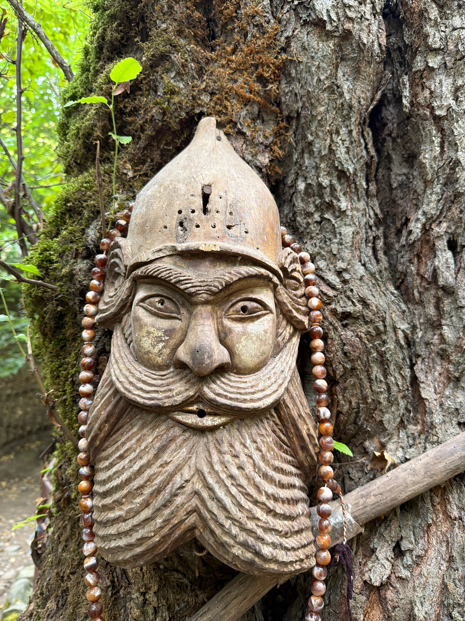 The image depicts a close-up, eye-level view of a carved wooden mask of a bearded man with a helmet, attached to the rough bark of a large tree. The mask is adorned with a string of brown and white beads that hang down its left side, and a small, green sapling sprouts from the mossy surface of the tree to the left of the mask. The background consists of blurred green foliage and a branch extending horizontally from the right side of the frame. This scene is located in a forested area, likely in the city of Masalli, Azerbaijan, given the context.