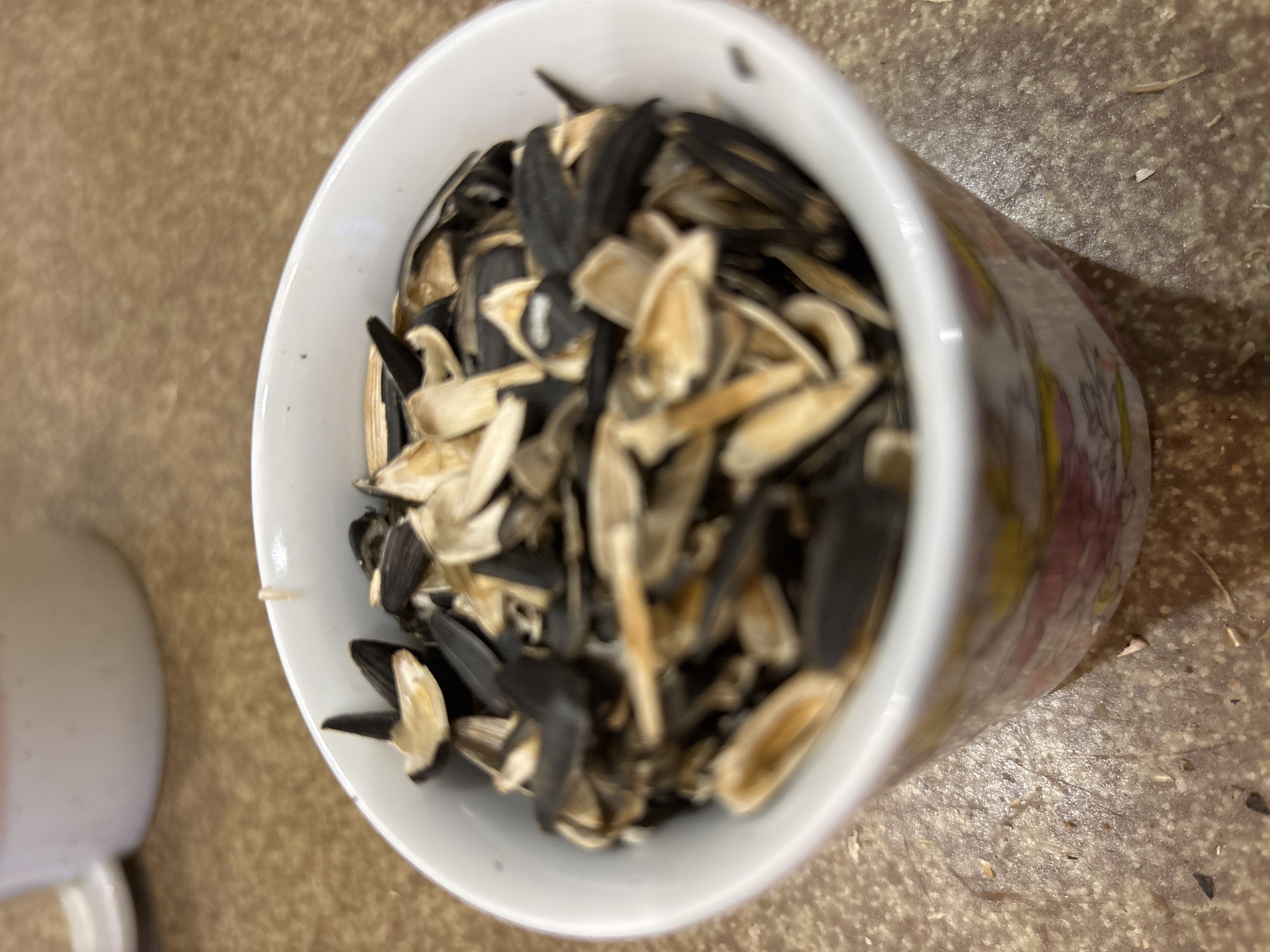 A close-up, eye-level shot shows a white ceramic cup filled with sunflower seeds. The cup has a decorative floral pattern around its base, featuring pink and yellow flowers. The seeds are a mix of black and tan, with some shells visible. The cup is placed on a speckled, brown surface, likely a tabletop. In the background, out of focus, another white cup with a handle is visible. The scene is indoors. There are no people or animals present. The lighting appears to be artificial, casting soft shadows. The image is undated and location unknown.