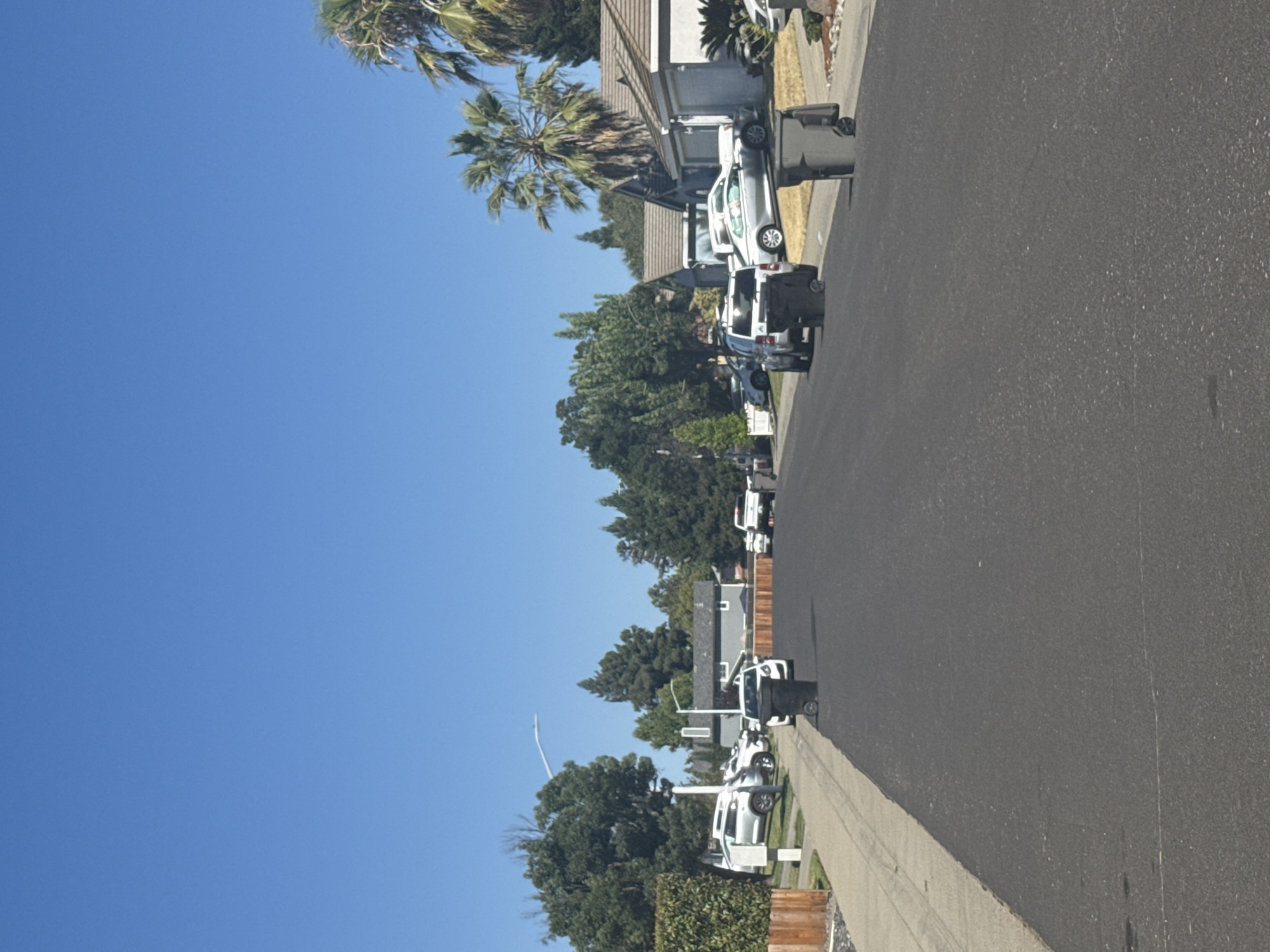 The image shows a suburban street in Roseville, California, USA, on a clear, sunny day. The street is paved and lined with houses and trees. Several cars are parked on the street and in driveways. Two trash cans are visible on the side of the road. One trash can is black and appears to be placed in front of a white car. The other trash can is gray and is located further down the street. The houses are typical of suburban architecture, with some featuring garages. Palm trees are visible in the background, suggesting a warm climate. The overall scene depicts a quiet residential neighborhood.