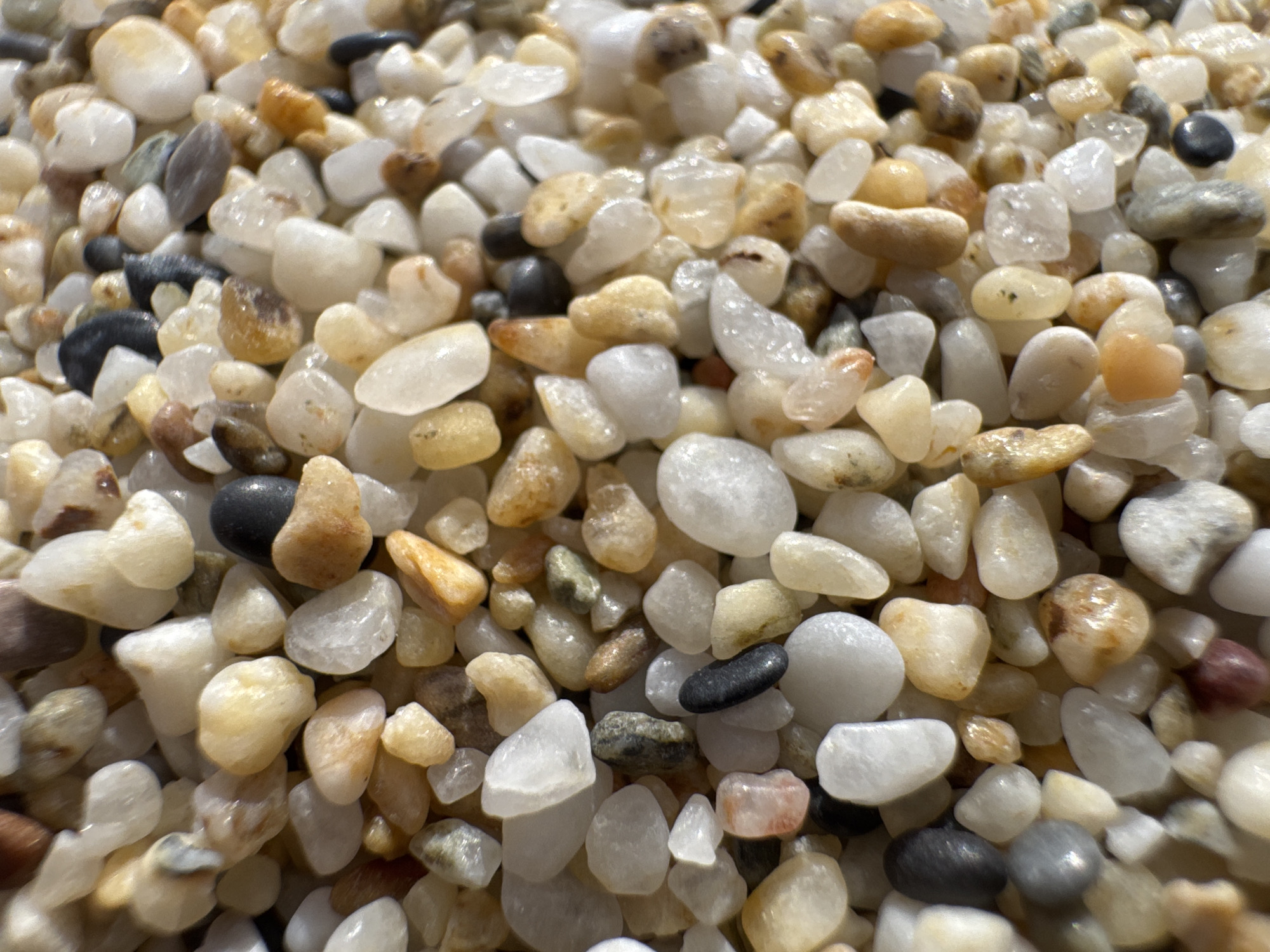 The image shows a close-up view of sand and small pebbles on a beach. The pebbles are predominantly white, tan, and black, with some exhibiting a translucent quality. The pebbles vary in shape and size, and are densely packed together. The image suggests an environment typical of a beach area. There is no evidence of any city being in the image.