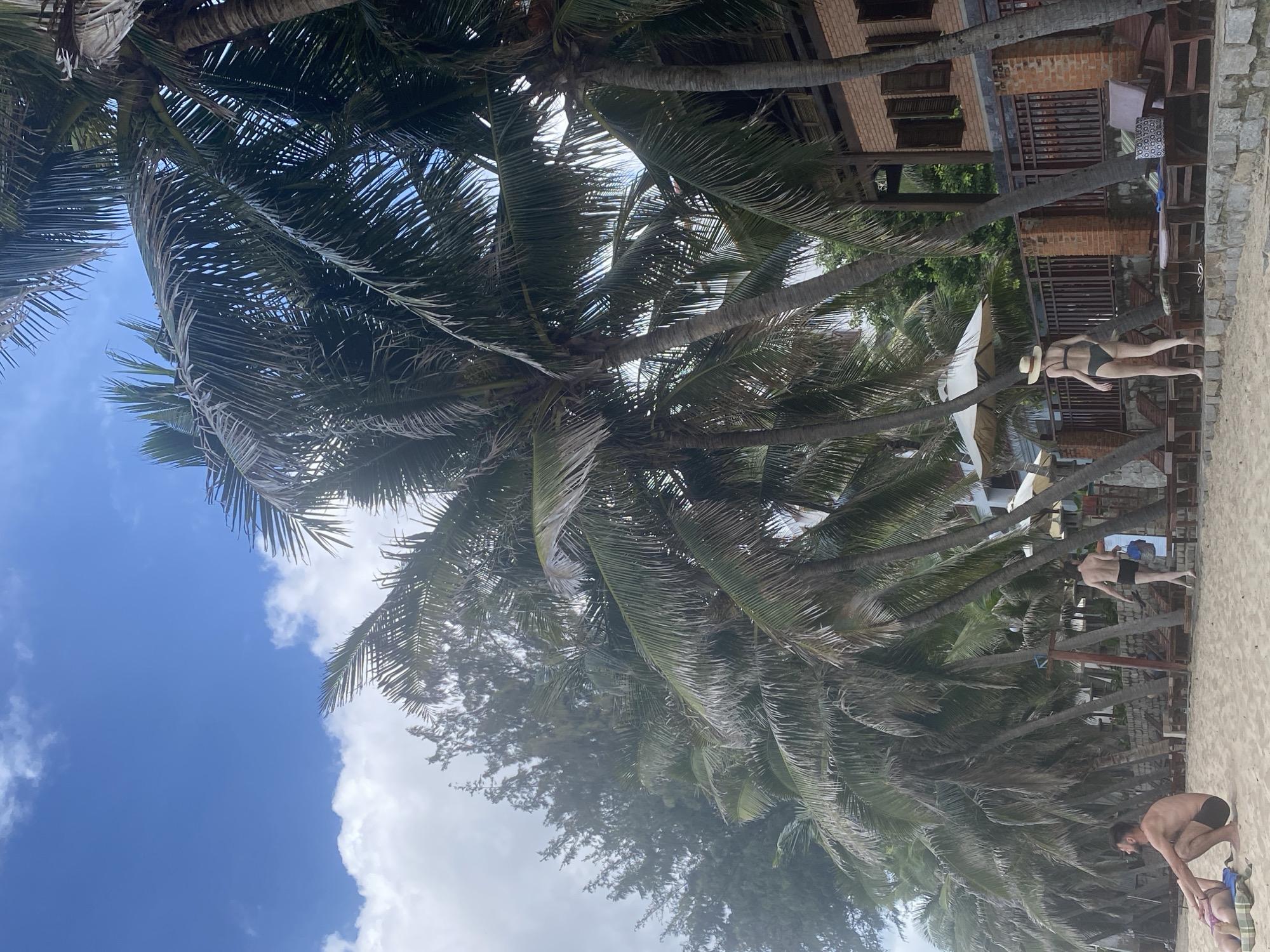 A tropical beach scene in Mũi Né, Vietnam, features a row of palm trees lining a sandy shore. In the foreground, a man in black swim trunks squats on the sand next to another person lying down. Further down the beach, a person in a bikini and sun hat walks away from the camera towards a brick building with shuttered windows. The beach is furnished with lounge chairs and umbrellas, and the sky is partly cloudy.