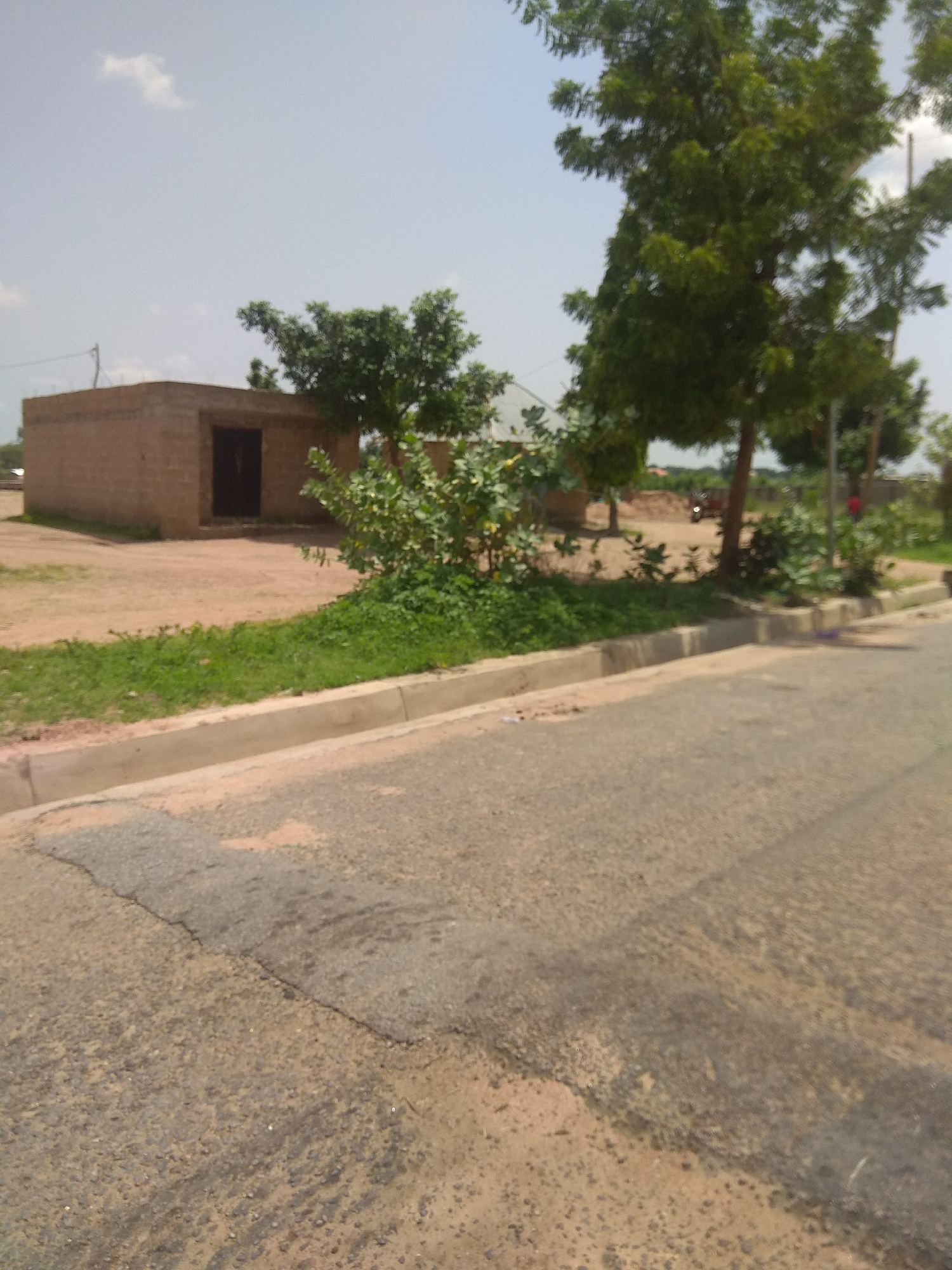 The image captures a street scene in Jalingo, Nigeria. In the foreground, a paved road with visible cracks and patches runs diagonally across the frame. A concrete curb separates the road from a strip of dry grass and patchy dirt. Beyond the grass, a small, single-story building constructed from light-colored bricks is visible. It has a dark-colored door. Several trees, some with full green foliage, are scattered throughout the midground and background. One prominent tree with a thick trunk stands to the right of the building. In the background, there's evidence of more greenery and some distant structures. The sky is overcast with a few wispy clouds. No people are clearly identifiable in the image. The overall impression is of a semi-arid environment with developing infrastructure.