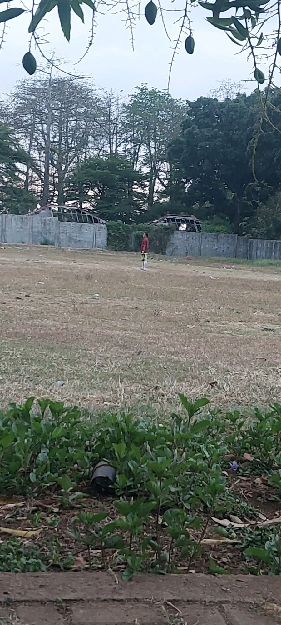 The image shows a wide, dry, grassy field with a concrete barrier and dilapidated structures in the background. A lone figure, appearing to be a young male wearing a red and yellow garment, stands in the middle of the field, facing away from the camera. The field is predominantly dry and sparse, with some green vegetation visible in the foreground. The sky is overcast. The scene appears to be an outdoor public space, possibly a sports field or a neglected recreational area, located in the city of Keling, Indonesia.