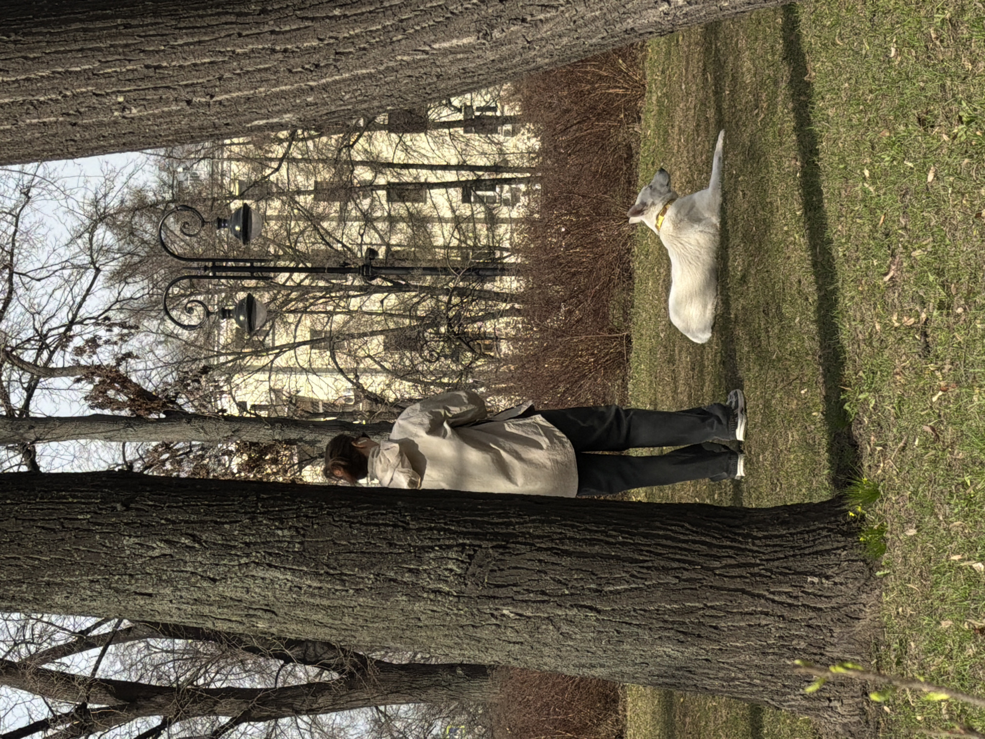 A person is standing in a park, with their dog, near a large tree. The dog is light colored with a yellow collar. The person is wearing dark colored pants, a light colored jacket, and grey shoes. In the background is a building, bare trees, and a tall, decorative lamp post. The park is grassy. The location is likely Moscow, Russia.