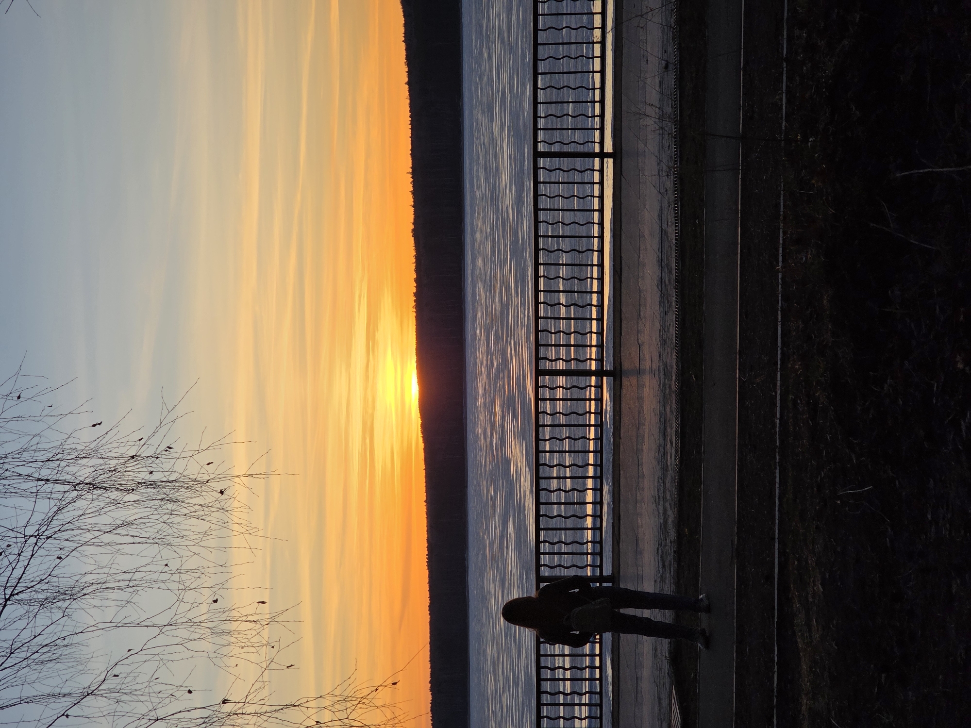 The image displays a serene sunset scene over a large body of water, likely a lake or wide river, in Chaikovsky, Russia. The sun is setting on the horizon, casting a vibrant glow across the sky and water.
The sky is a prominent feature, transitioning from a soft light blue at the top to brilliant shades of orange and yellow closer to the horizon, where the sun's disk is visible. Long, wispy clouds are illuminated by the setting sun, creating striking patterns. A distant, dark treeline outlines the far bank of the water. The water itself appears calm, reflecting the sky's light with subtle ripples and sheen.
In the foreground, a dark metal railing, possibly part of an embankment or promenade, runs horizontally along the edge of the water. A solitary figure stands near this railing, silhouetted against the bright backdrop of the sunset and water. The person is dressed in what appears to be a hooded top and pants, facing towards the horizon, seemingly observing the picturesque view. To the left, bare tree branches reach into the frame, silhouetted against the glowing sky, suggesting a cooler season or deciduous trees without leaves. To the right of the person, a dark path or walkway is visible, bordered by dark ground cover or sparse vegetation.
The time of day is clearly sunset, creating a peaceful and contemplative mood. The weather appears clear and calm. There is no visible text in the image.