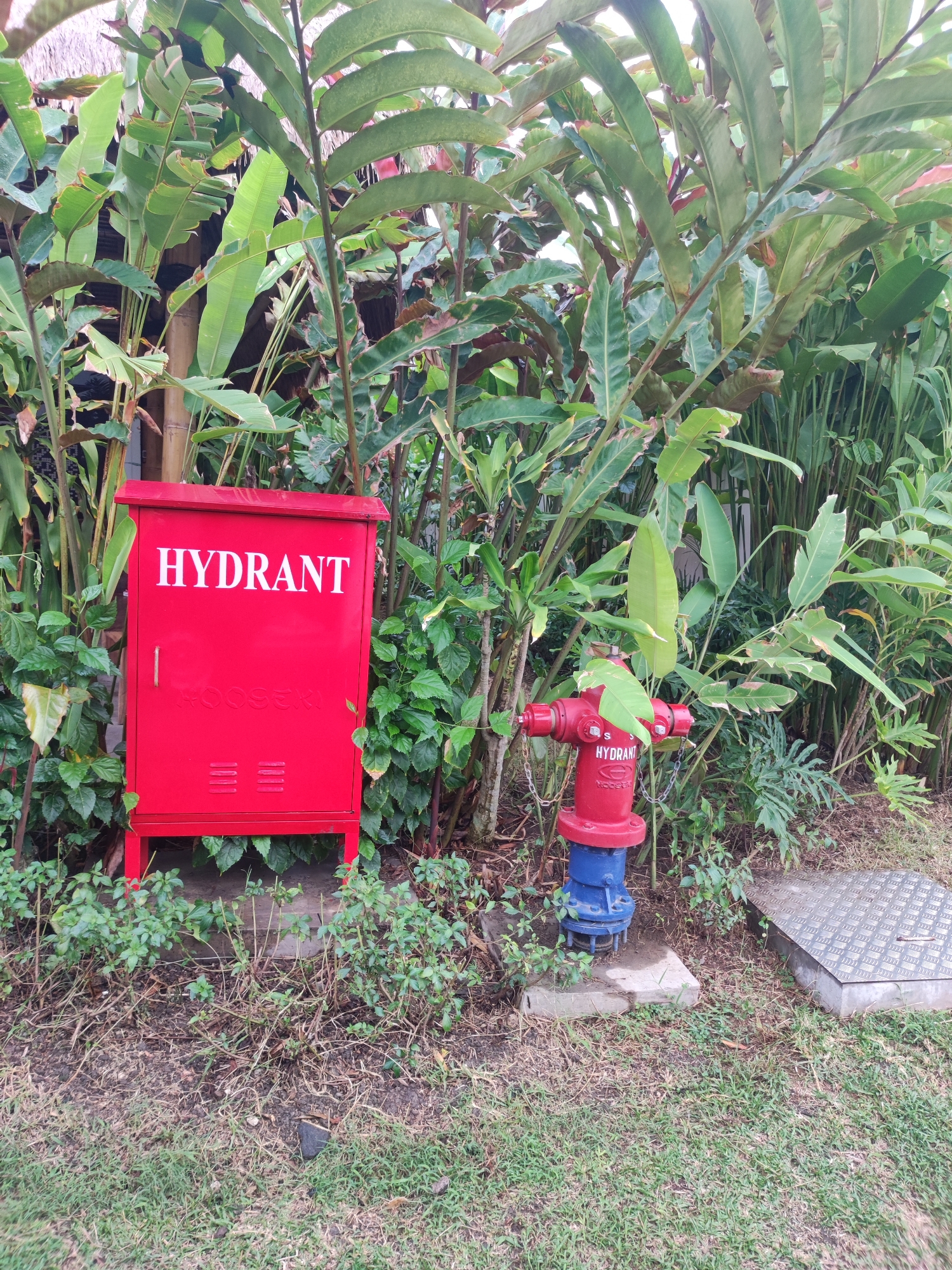 The image depicts a red metal cabinet labeled "HYDRANT" in white capital letters, situated outdoors amidst lush green foliage. To the right of the cabinet is a red and blue fire hydrant. The ground is covered with dry grass and dirt, and a metal grate is visible in the lower right corner. The scene appears to be in an outdoor area, possibly a park or a garden, in Kediri, Indonesia. There are no people or animals visible in the image. The lighting suggests it is daytime.